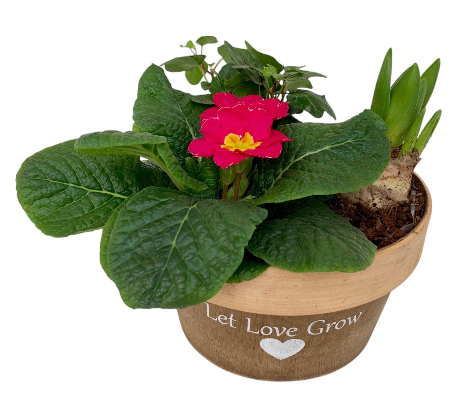 Love rond hout 1x prim 1x hys 1x hedr 539, D 20 cm