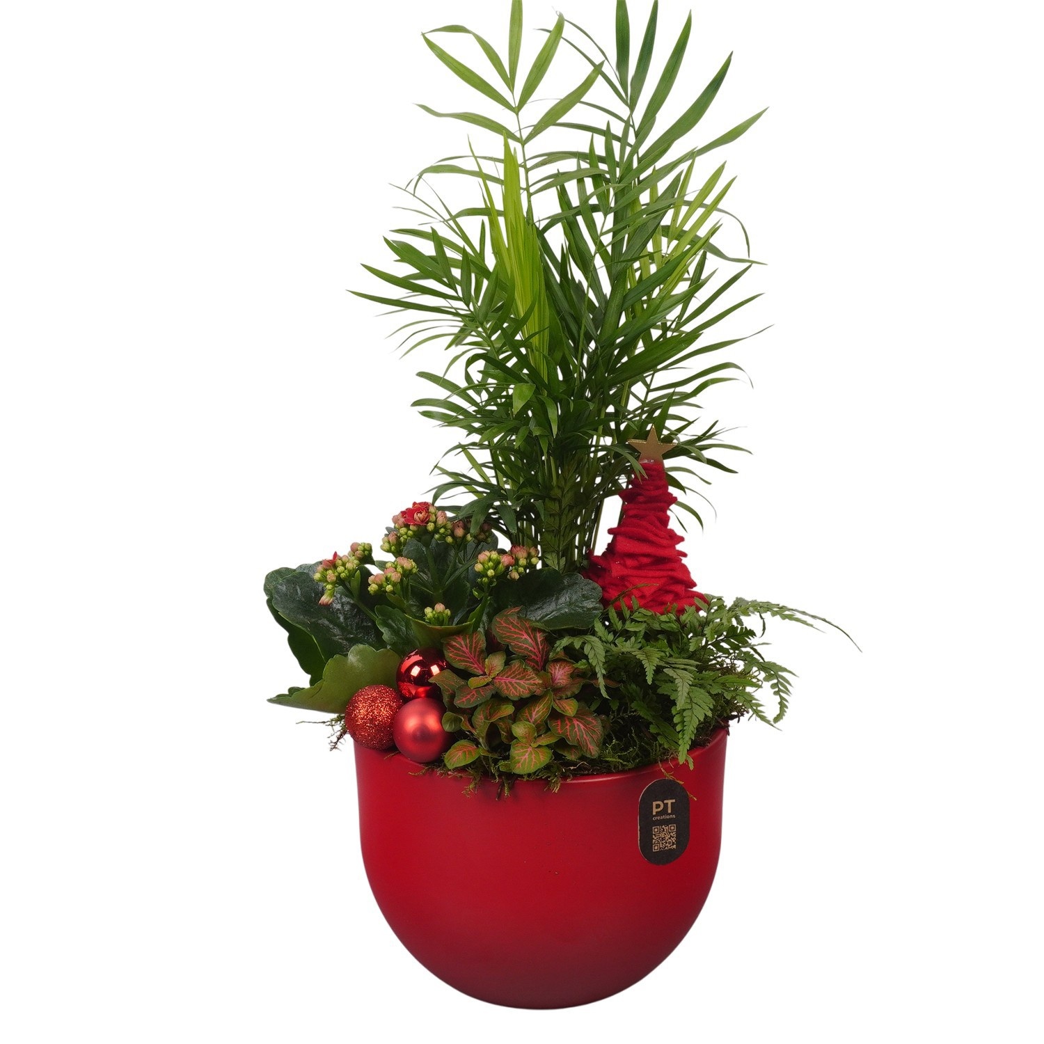 PTCHR9574 Arrangement Christmas Red in keramiek pot, D 19
