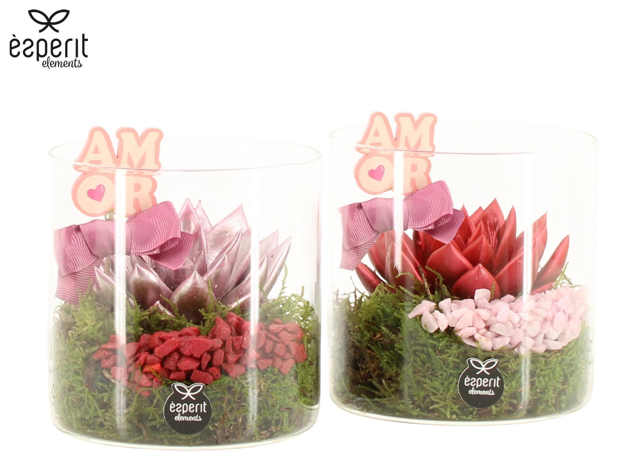 22087: Lovess arrangement, D 12