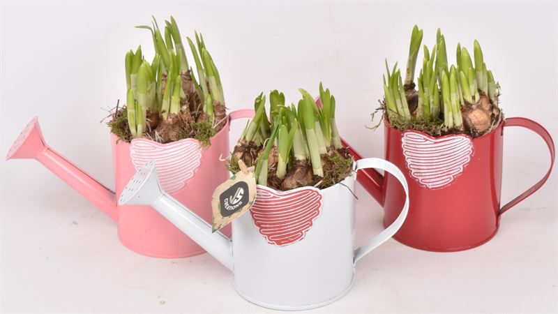 Zink gieter met hart 10cm, D 10