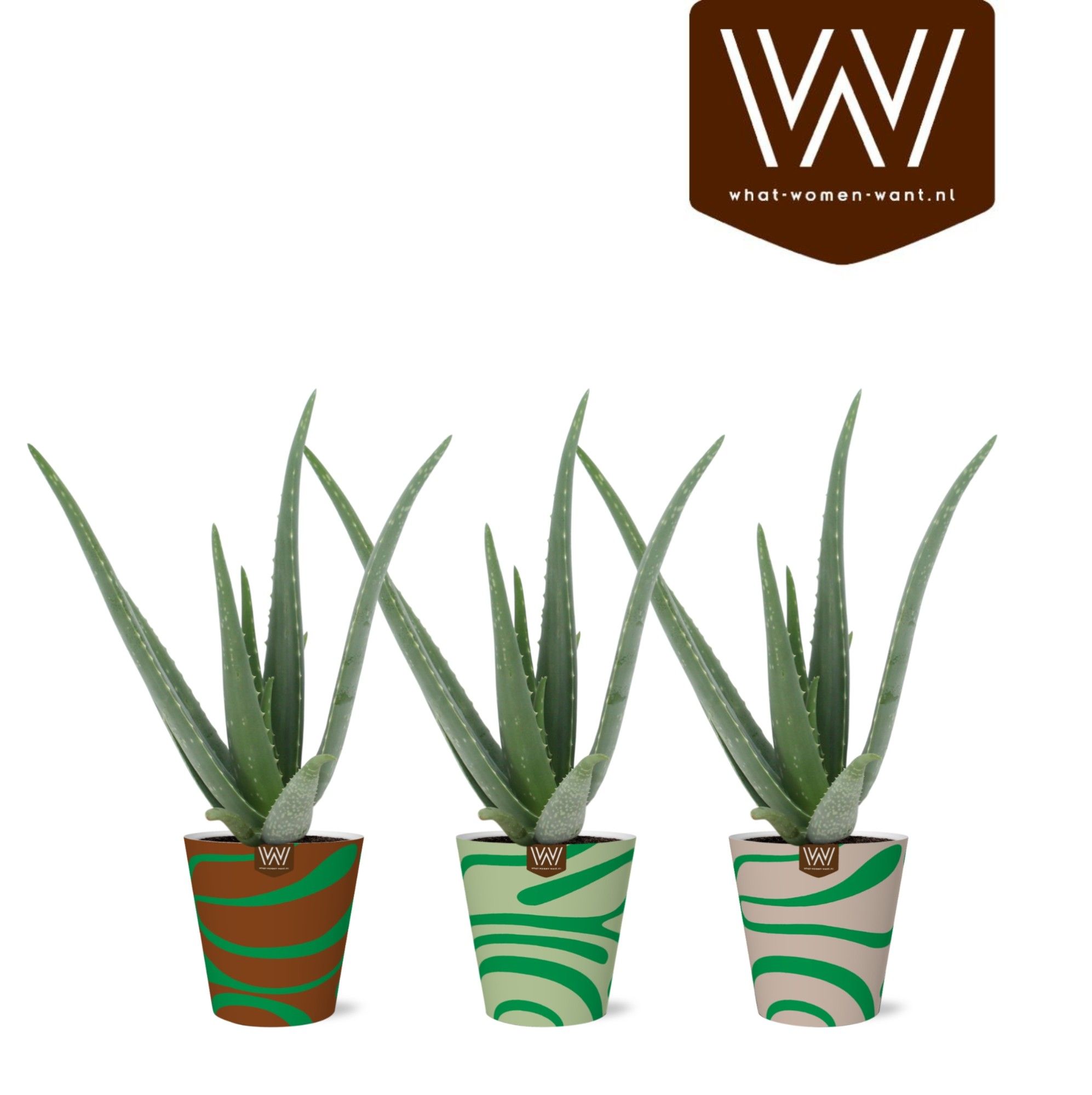 Aloe Vera P12 + smartc MEES - Natural Bubble, D 12