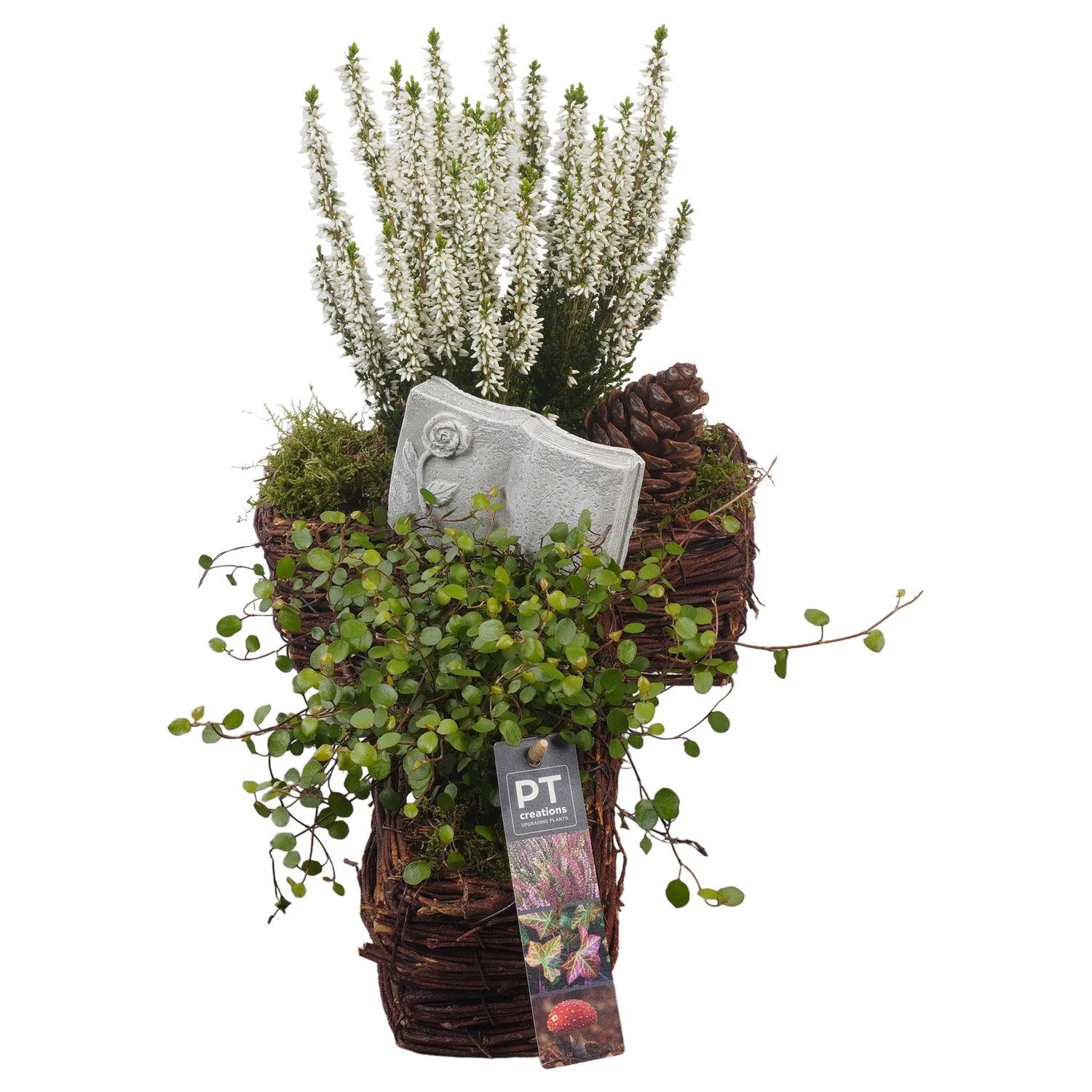 PTAH8643 Arrangement Allerheiligen in rieten kruis, D 34 cm PTAH8643 Arrangement Allerheiligen in rieten kruis, D 34 cm
