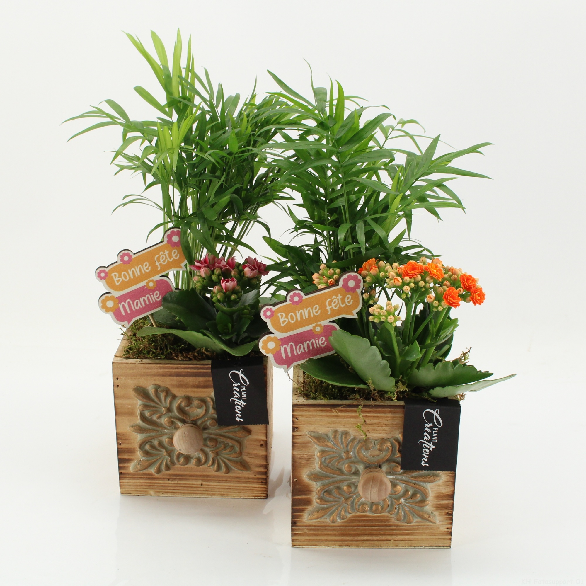 FGCR-2621 Fête des grands-mères, D 12