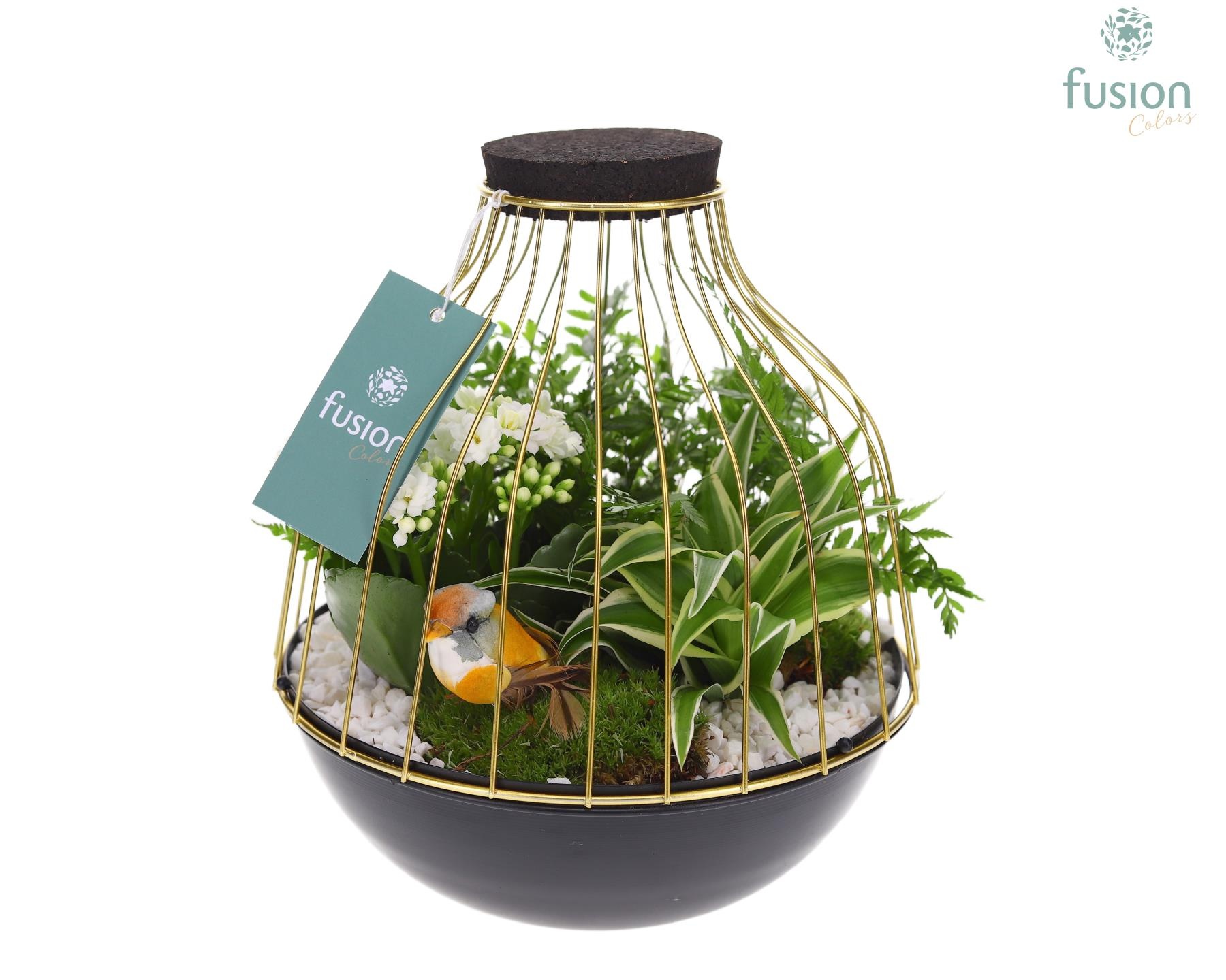 Vogelkooi metaal goudzwart Large met arrangement, D 21