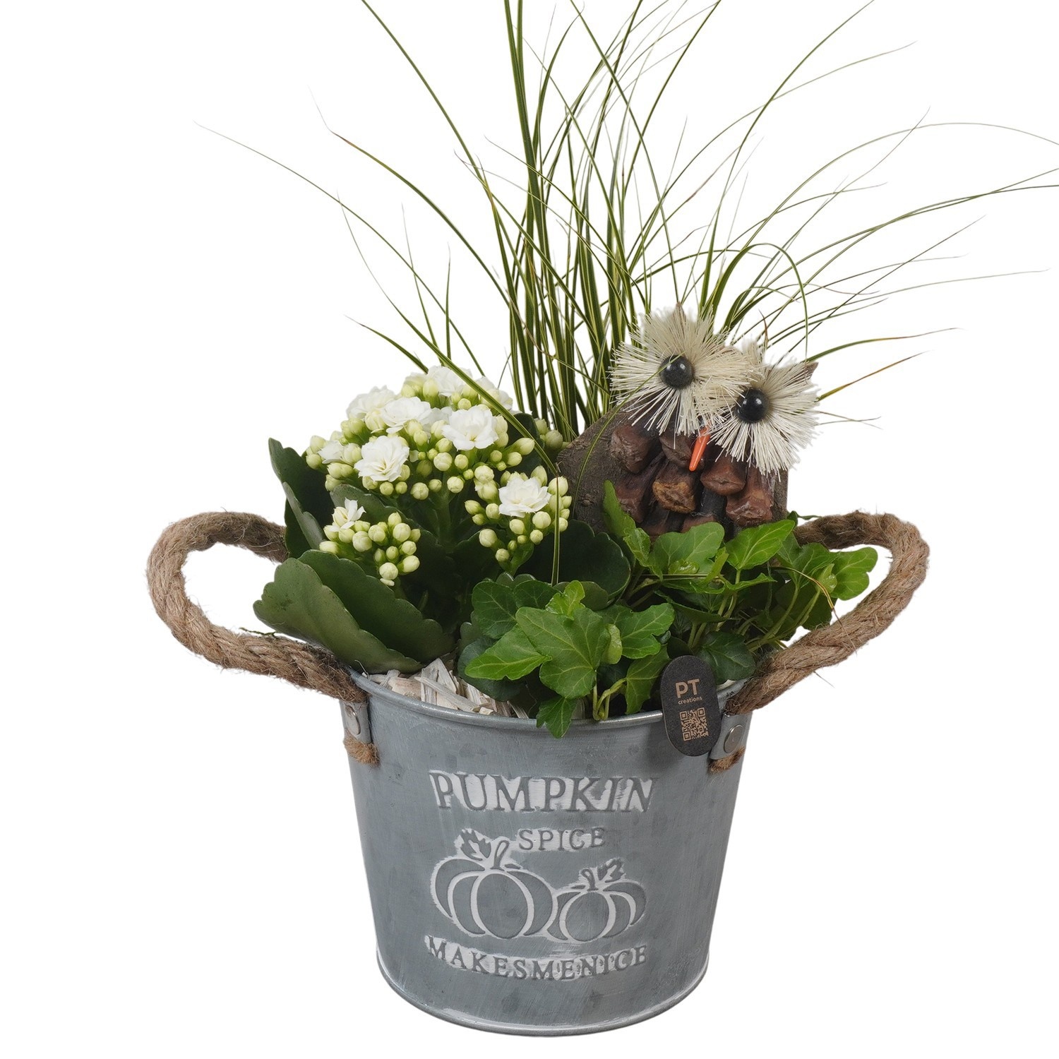 PTHI3399 Arrangement Autumn Indoor in metalen pot, D 14