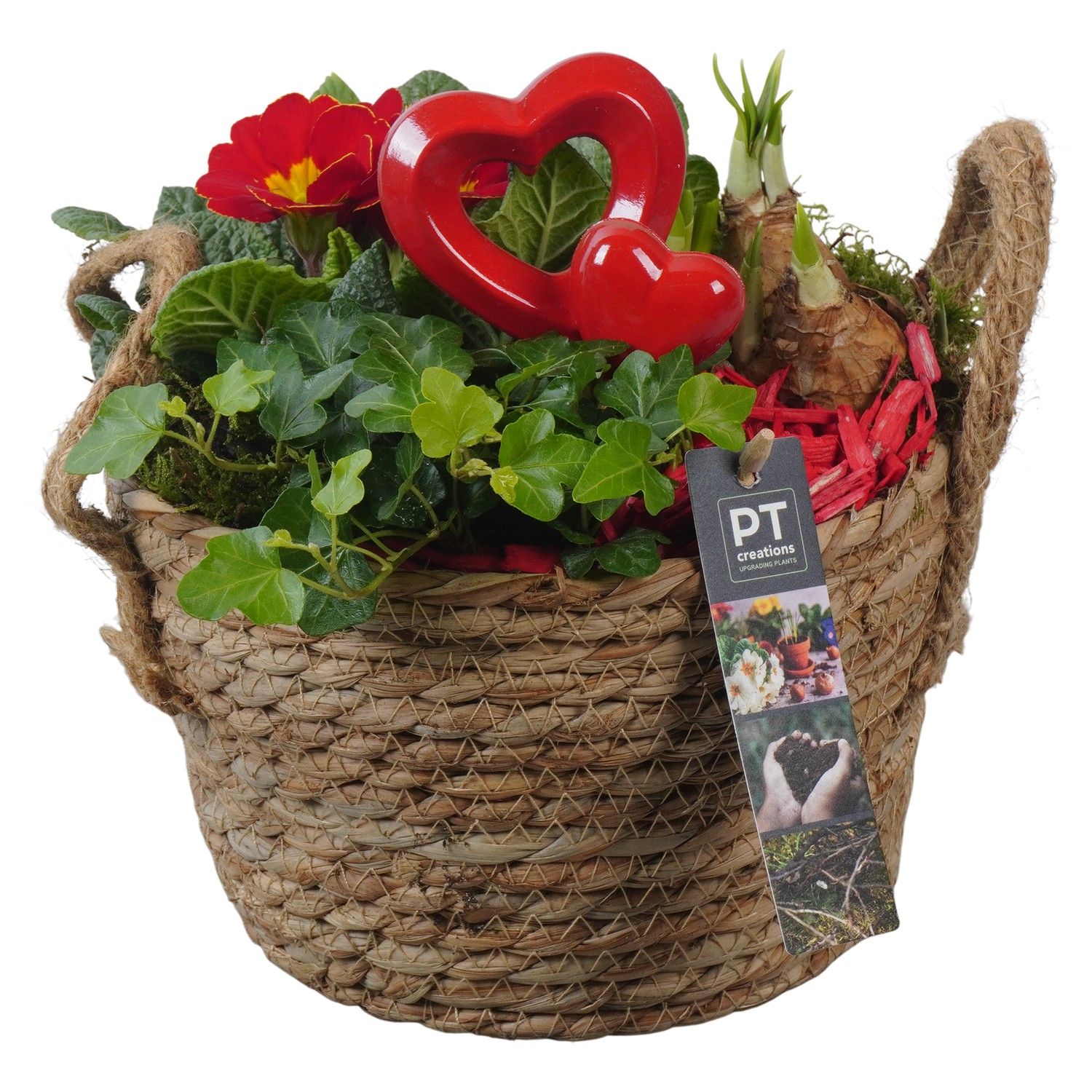PTVO3635 Arrangement Valentine Outdoor in rieten mand, D 20