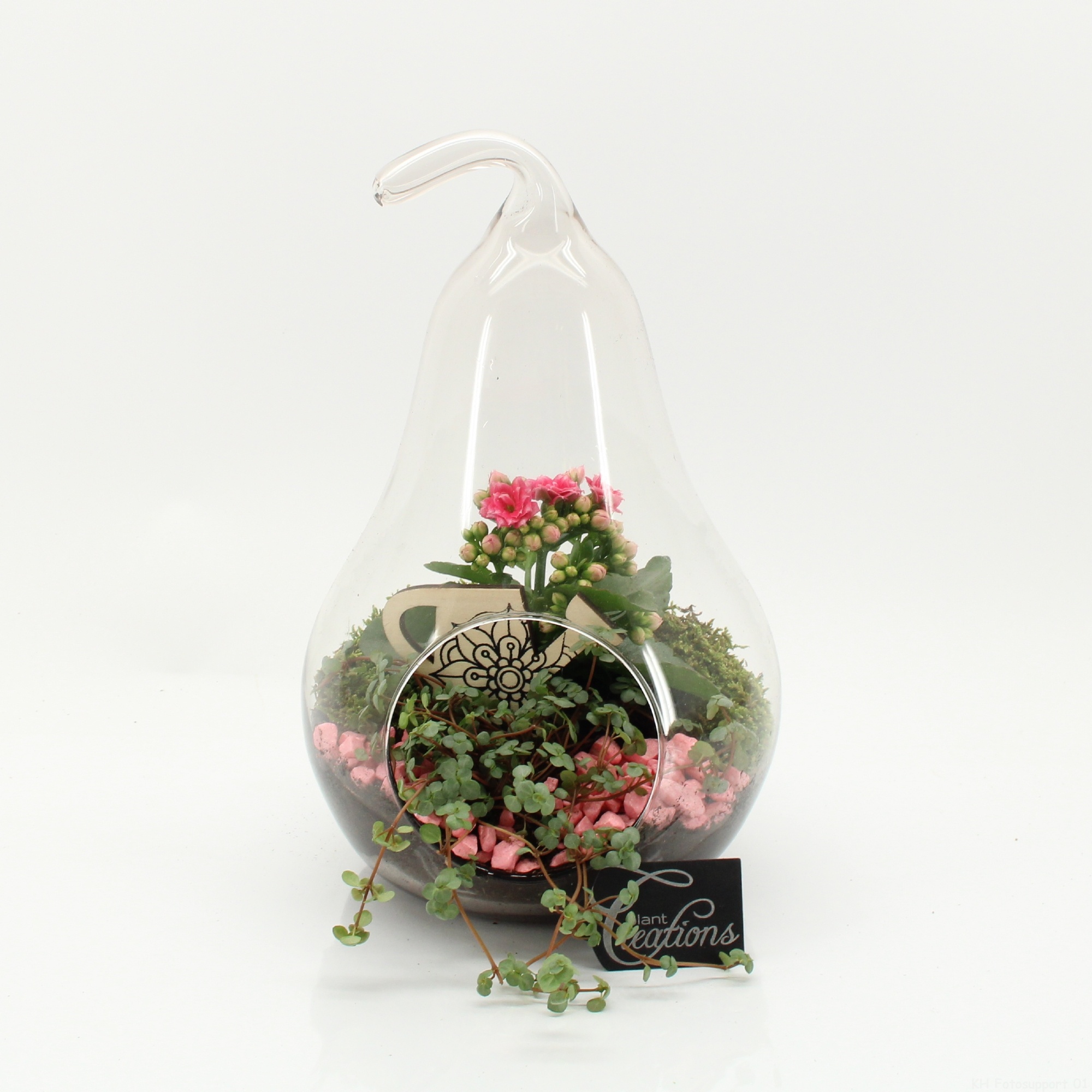 ESCR-2632RZ Essentials terrarium, D 18
