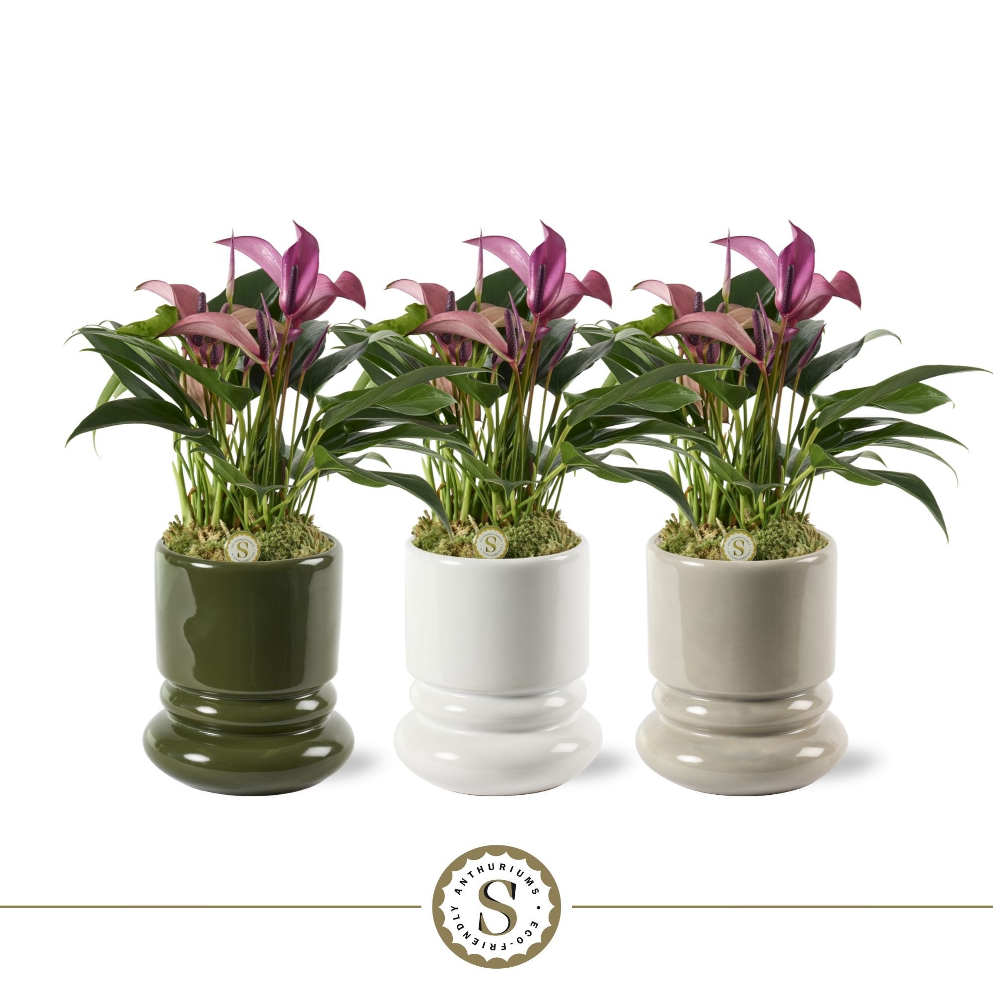 Geneve Keramiek Zizou, D 12