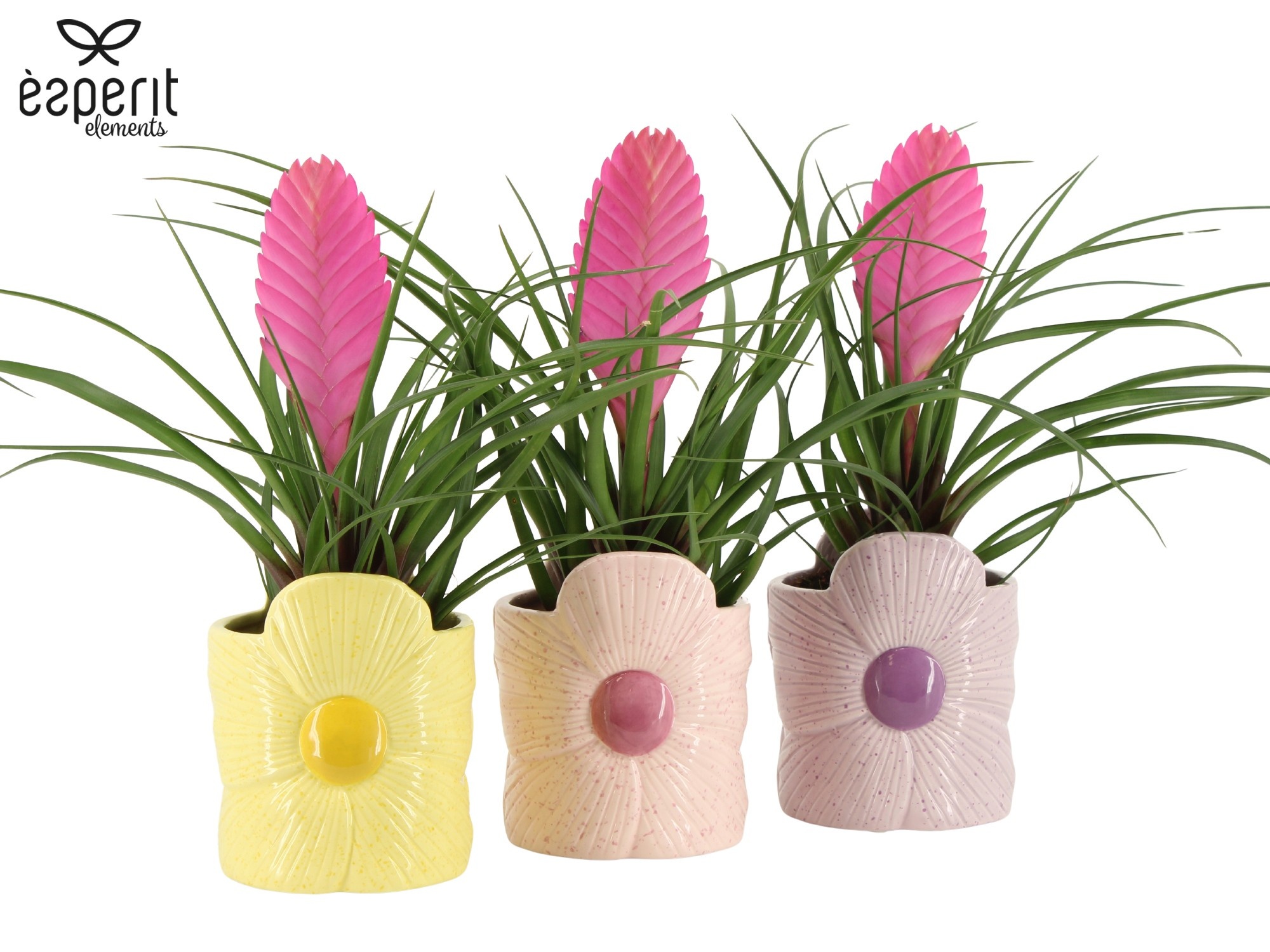 7503540: Solutionss Reinvention, D 9