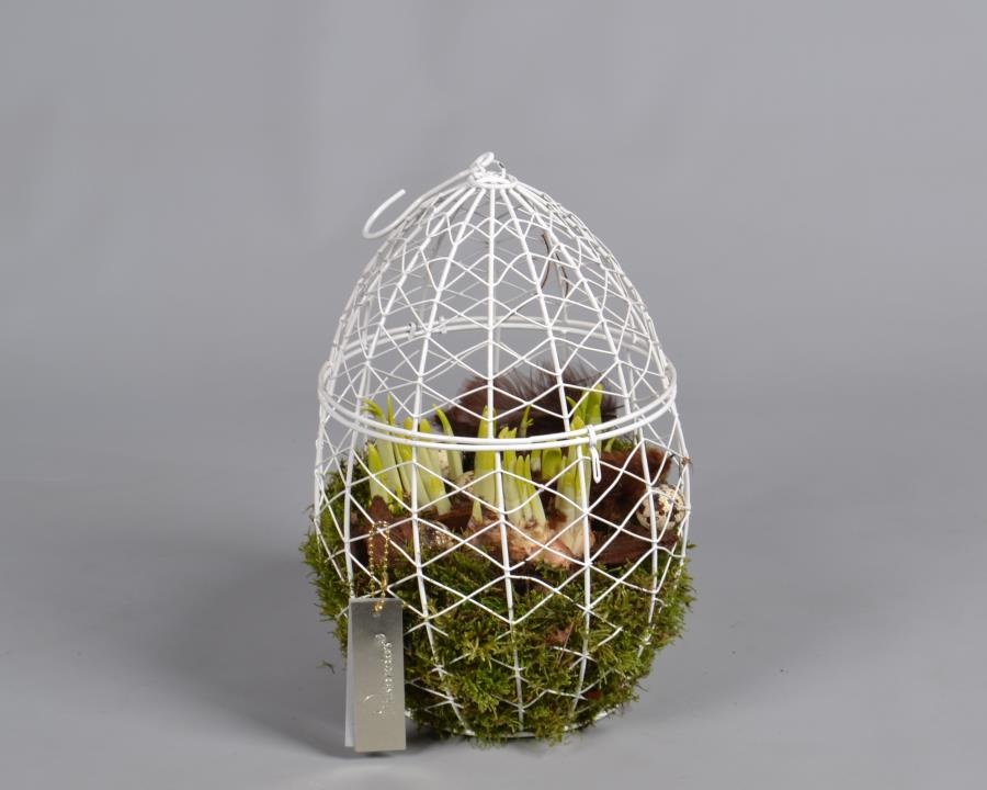 Metaal rek met Narcis Tat, D 19