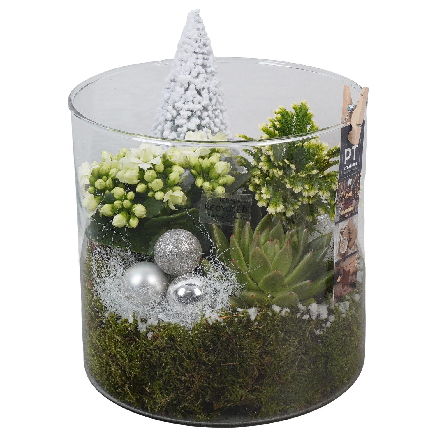 PTCHW4397 Arrangement Christmas White in glazen pot, D 19 cm