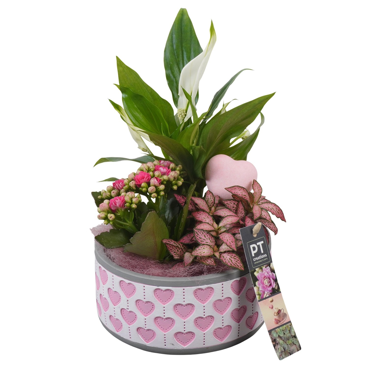 PTVMB2304 Arrangement Valentines-Mothersday in beton sierpot, D 16