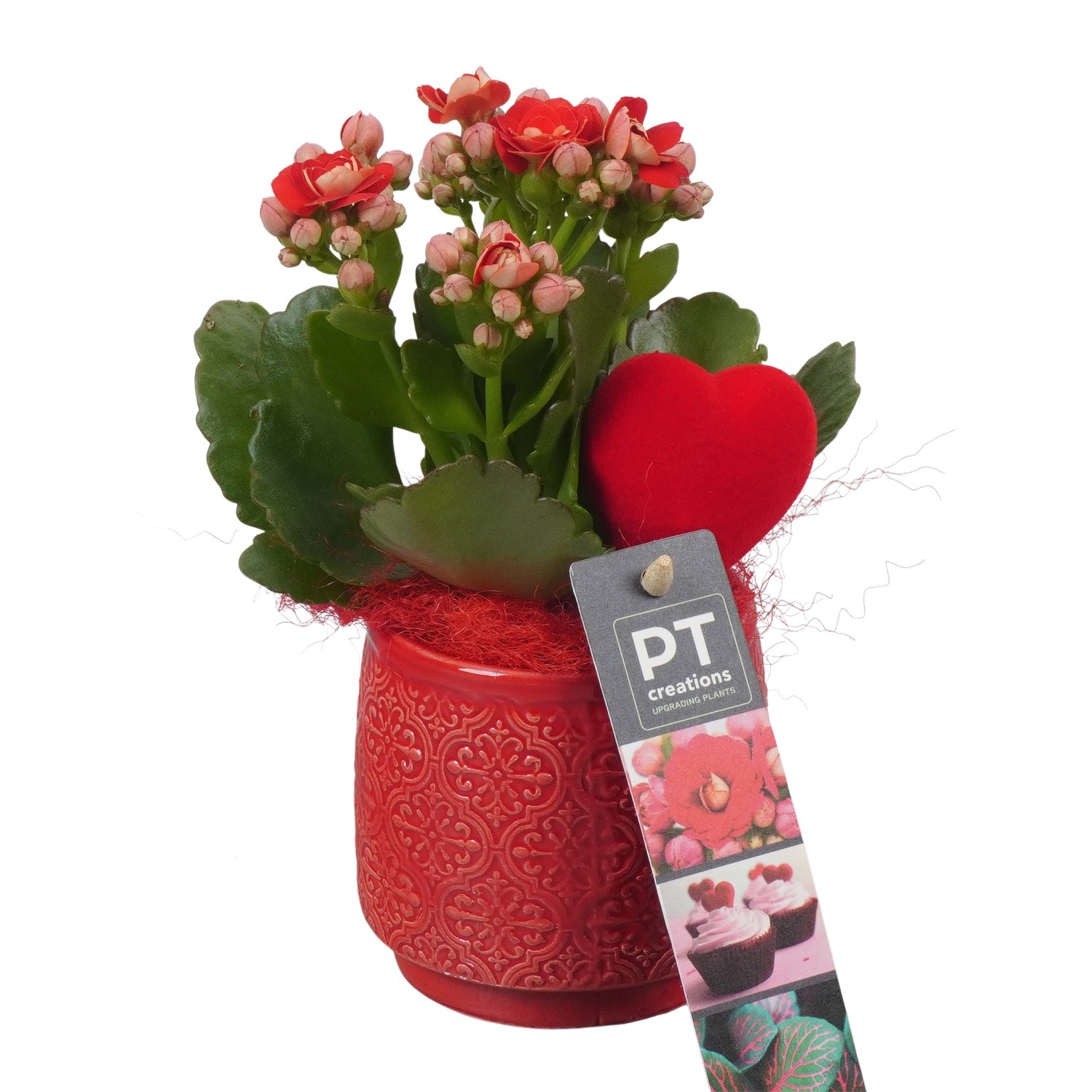 PTVMB2228 Arrangement Valentines-Mothersday in keramiek sierpot, D 8