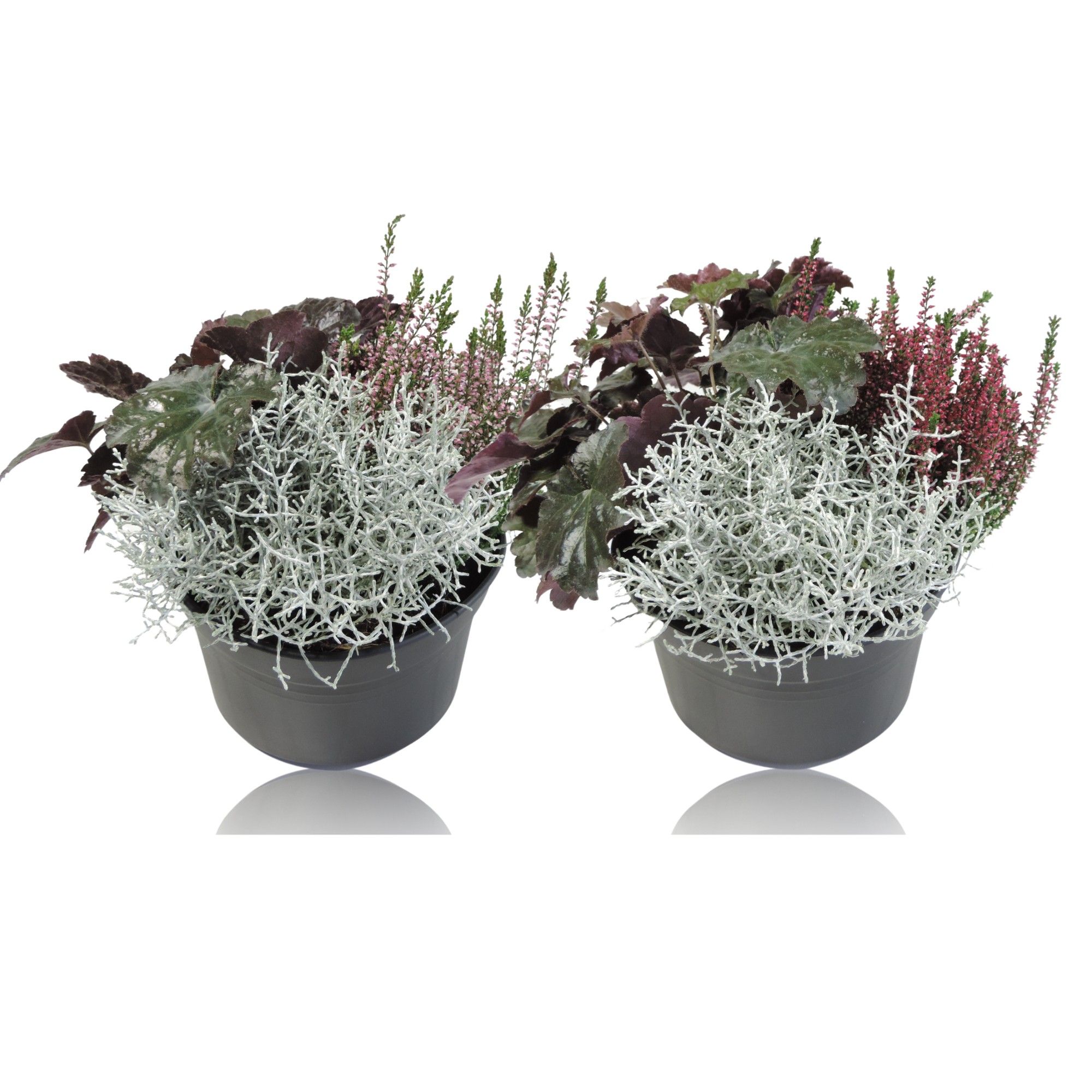 Arrangement schaal 19 cm, D 19