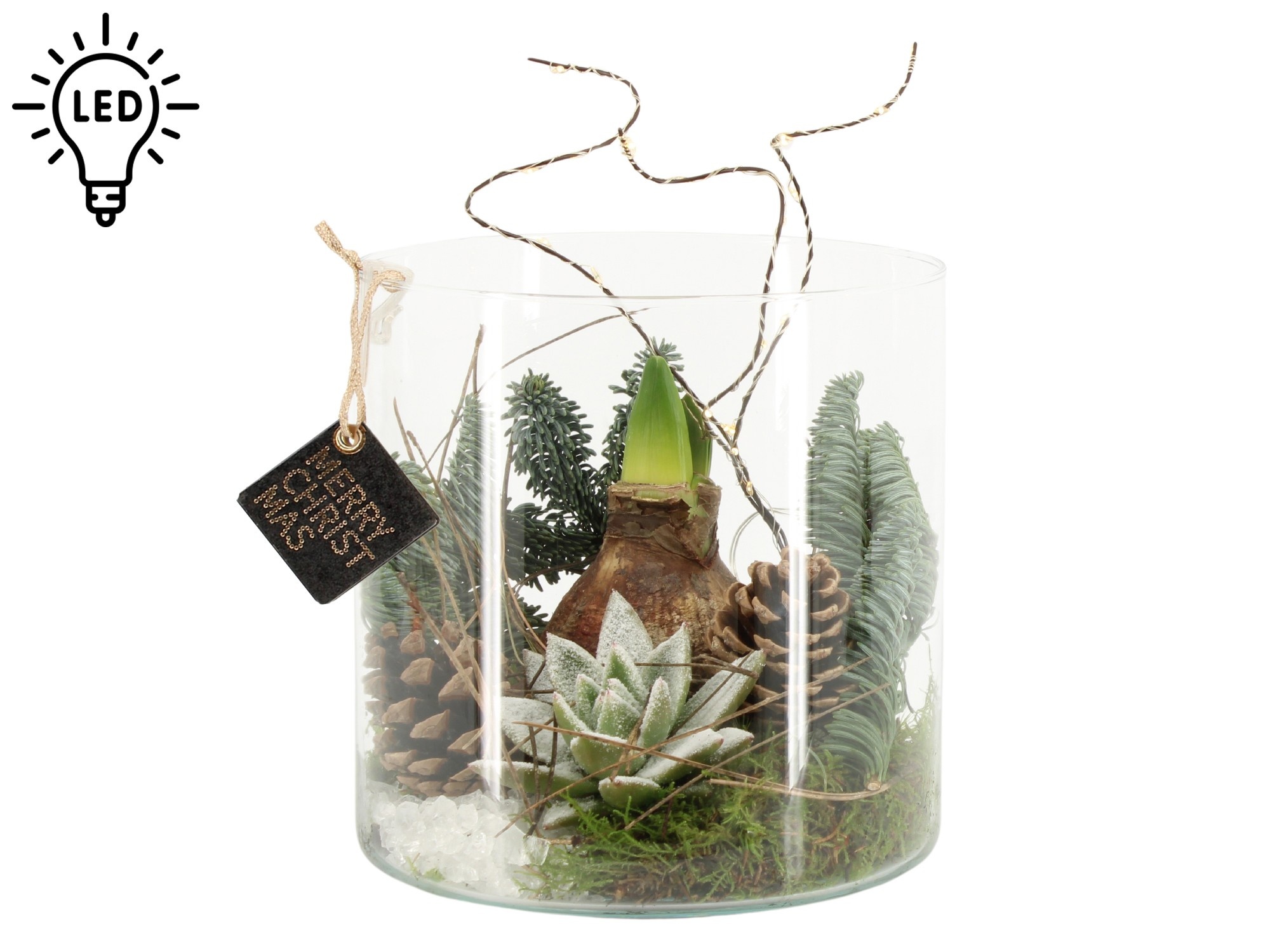 61710: X-mas arrangement met LED, D 19