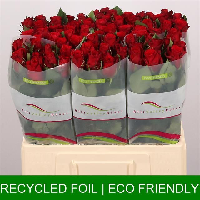 Роза од. Рэд Торч 60, шт. Роза од. Рэд Торч 60, шт.