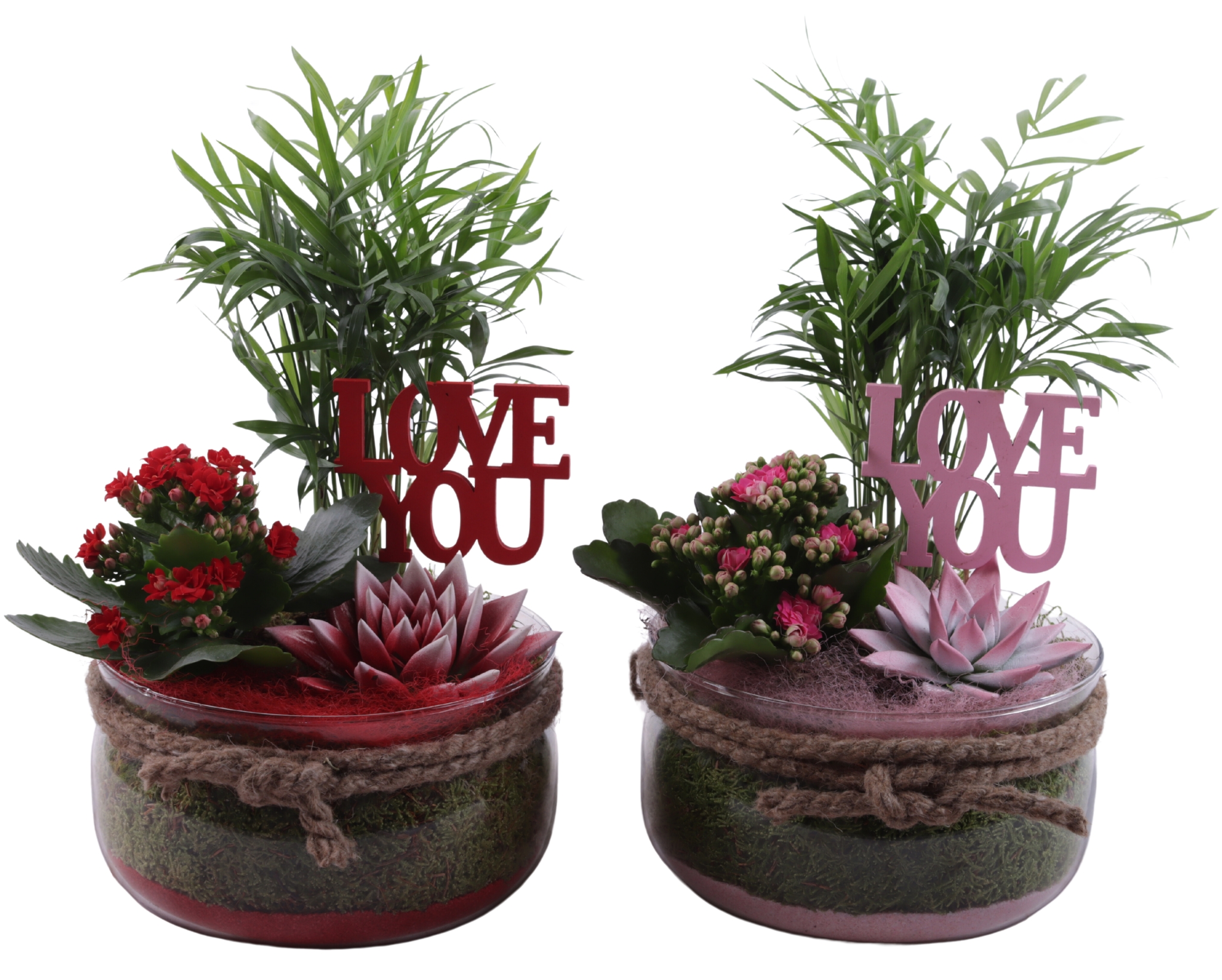 Valentine Arr. Indoor Glass Bowl with Rope Ø20cm 3PP, D 20