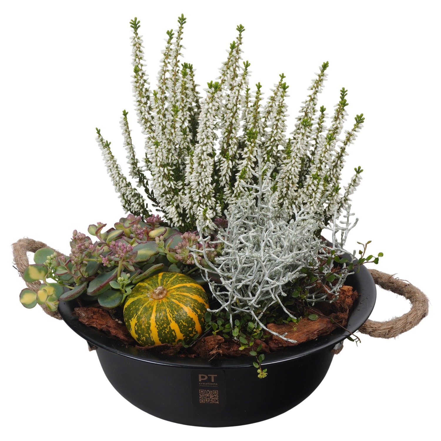 PTHO7573 Arrangement Autumn Outdoor in metalen schaal, D 24