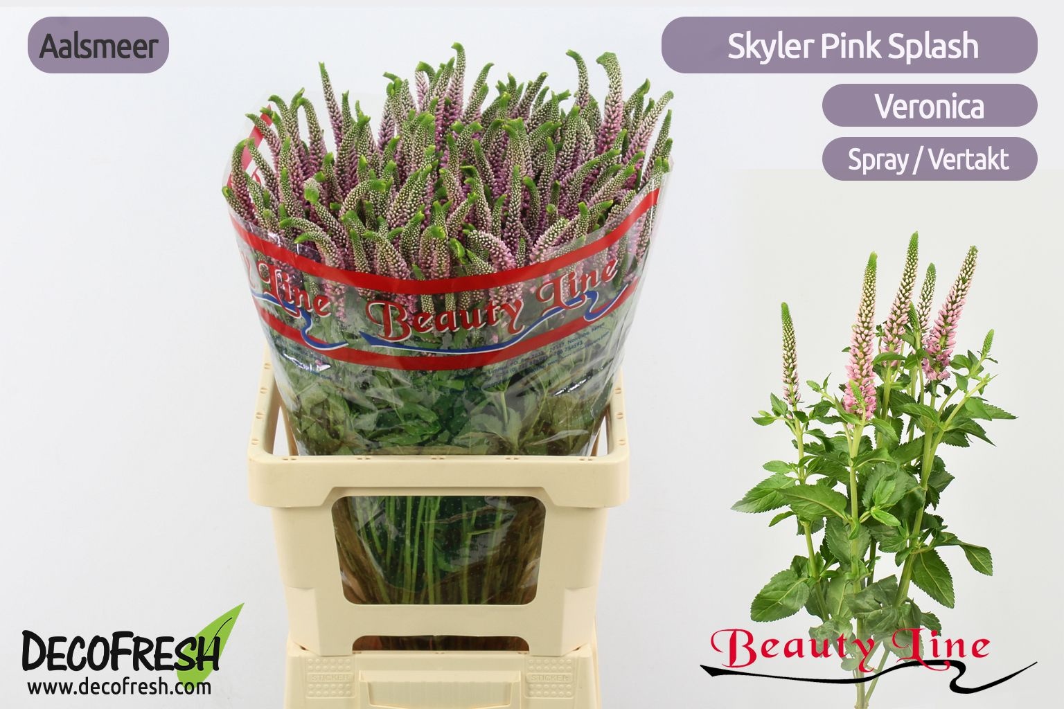 Вероника Скайлер Пинк 65, шт.