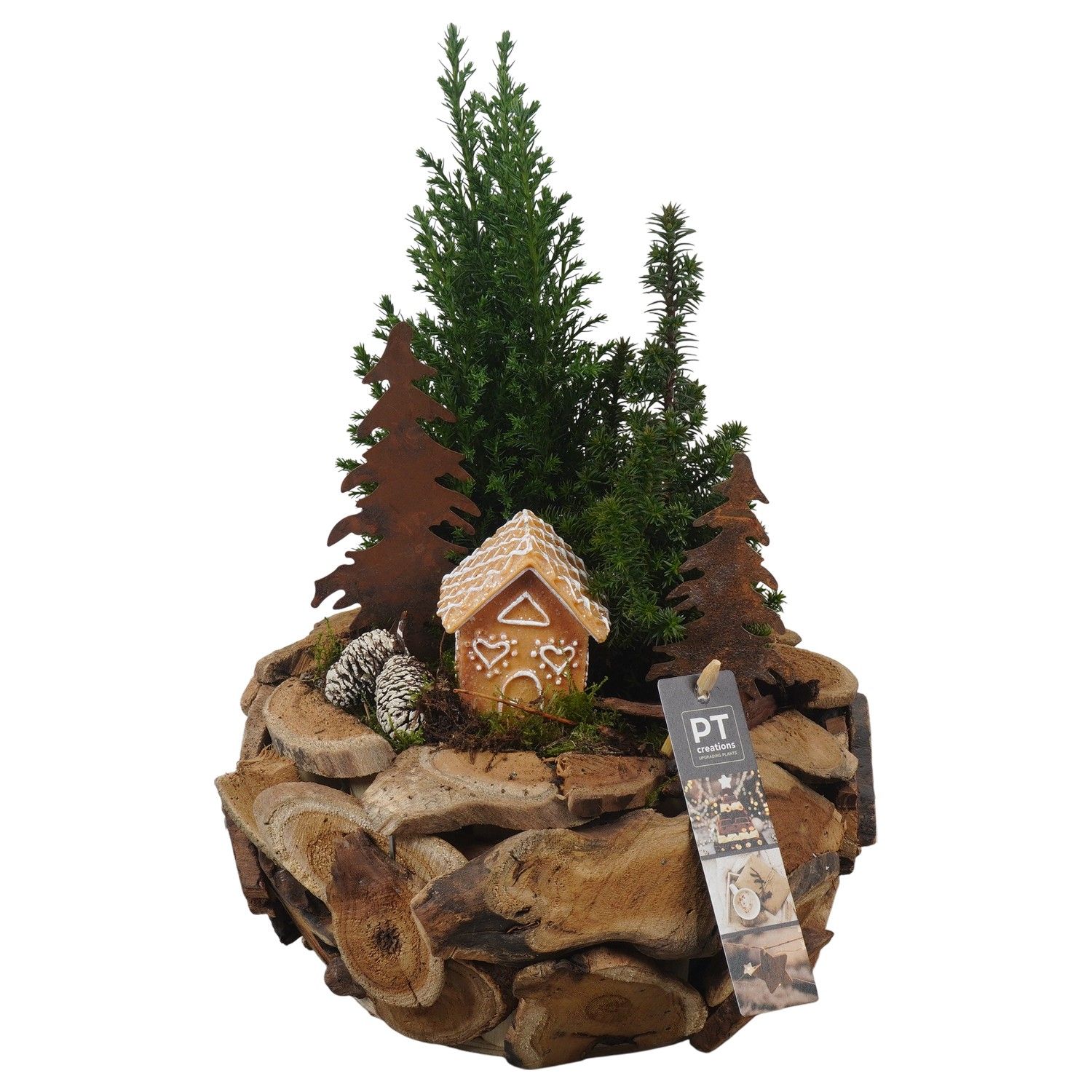 PTCWW6865 Arrangement Winter in houten bak, D 24 cm