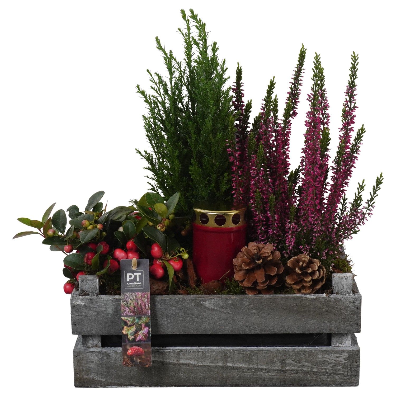 PTAH8680 Arrangement Allerheiligen in houten bak, D 30 cm PTAH8680 Arrangement Allerheiligen in houten bak, D 30 cm