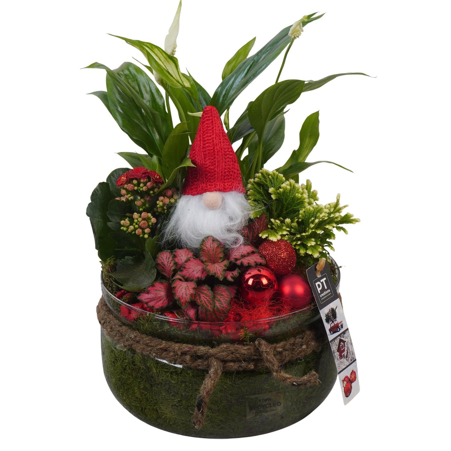 PTCHR7446 Arrangement Christmas Red in glas schaal, D 19 cm