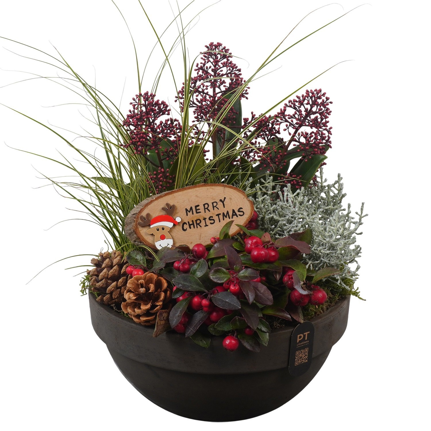 PTCHO5456 Arrangement Christmas Outdoor in terracotta schaal, D 23
