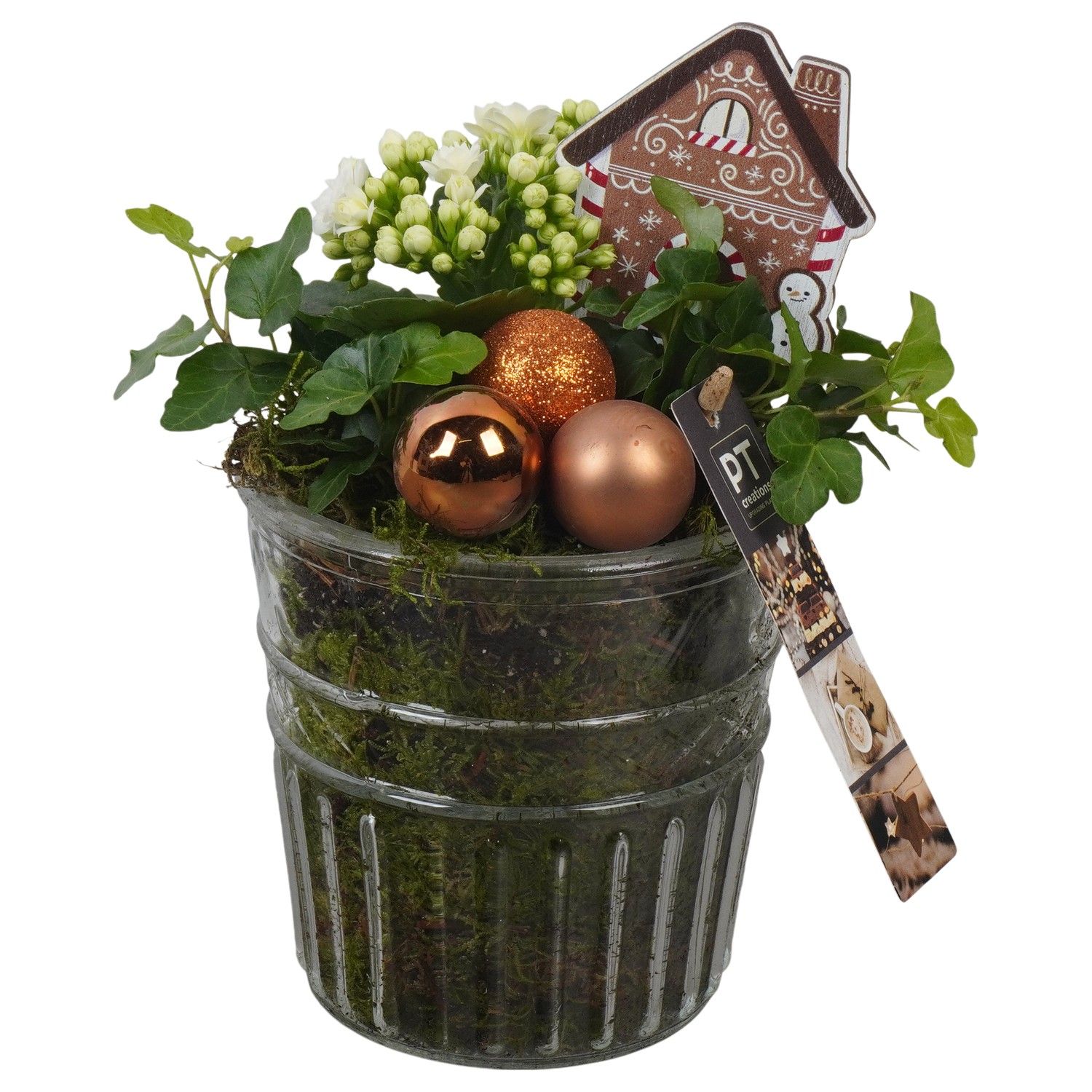 PTCHB9823 Arrangement Christmas Bronze in glazen pot, D 12 cm