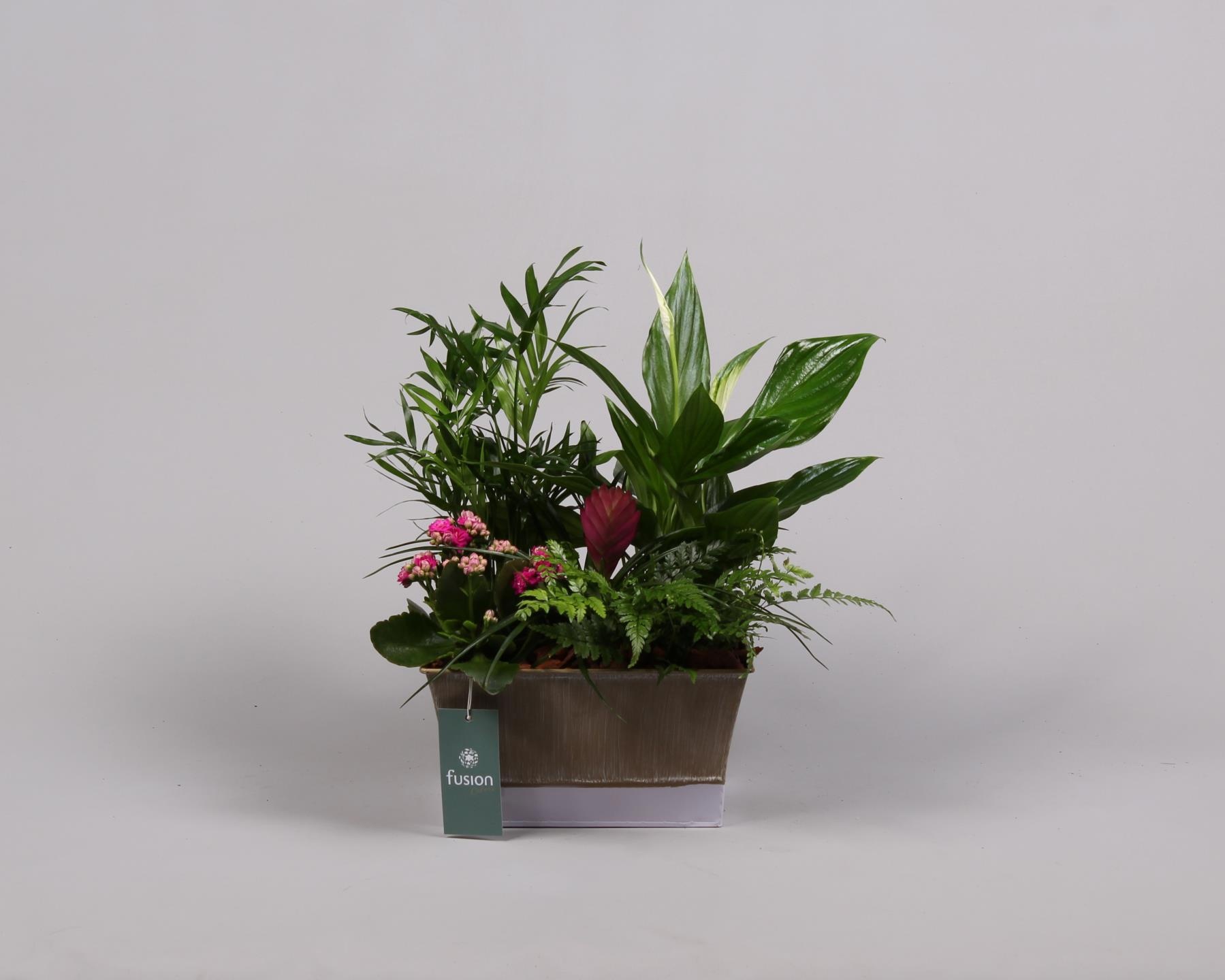 Zinken pot vierkant met arrangement, D 22 cm