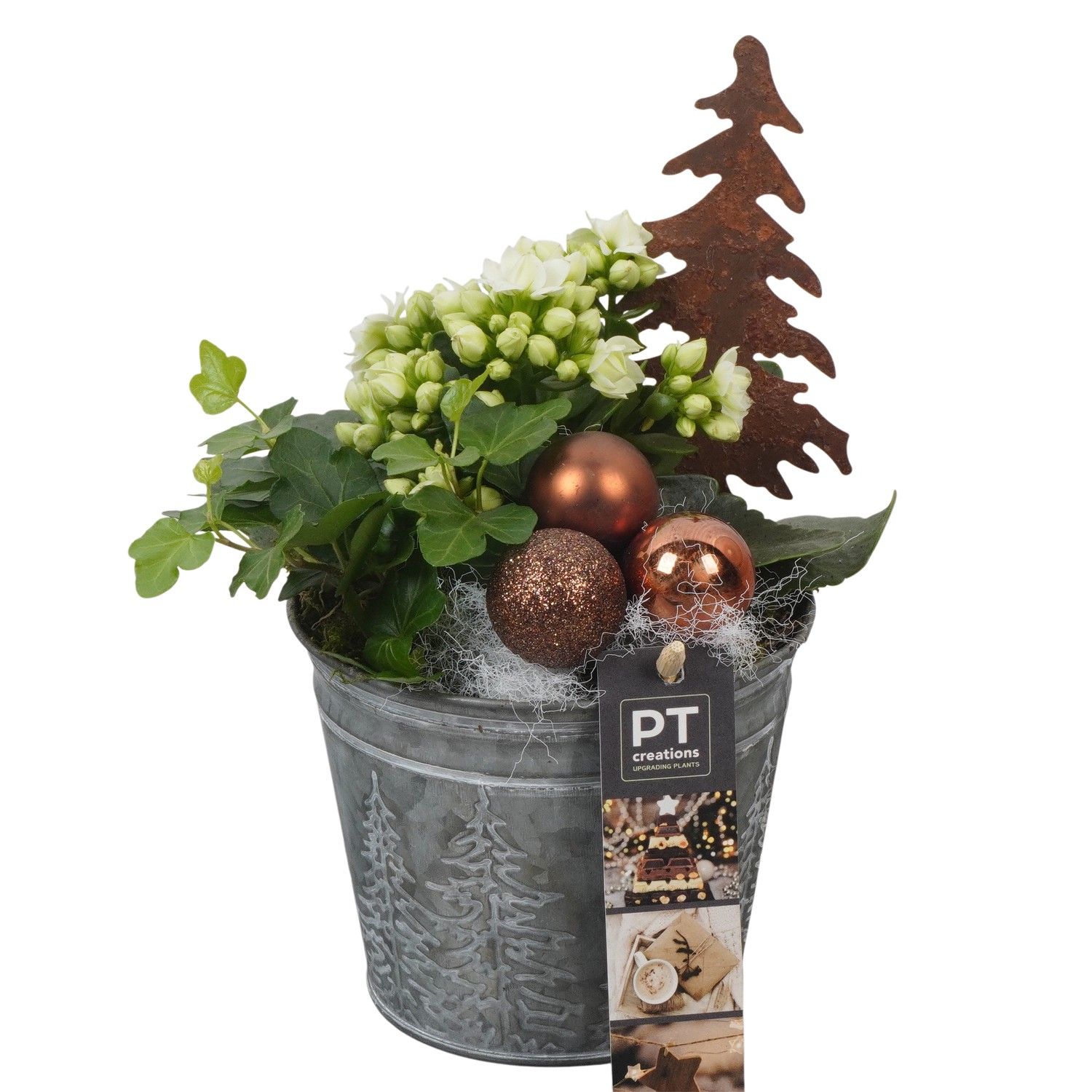 PTCHB9787 Arrangement Christmas Bronze in metalen pot, D 12 cm