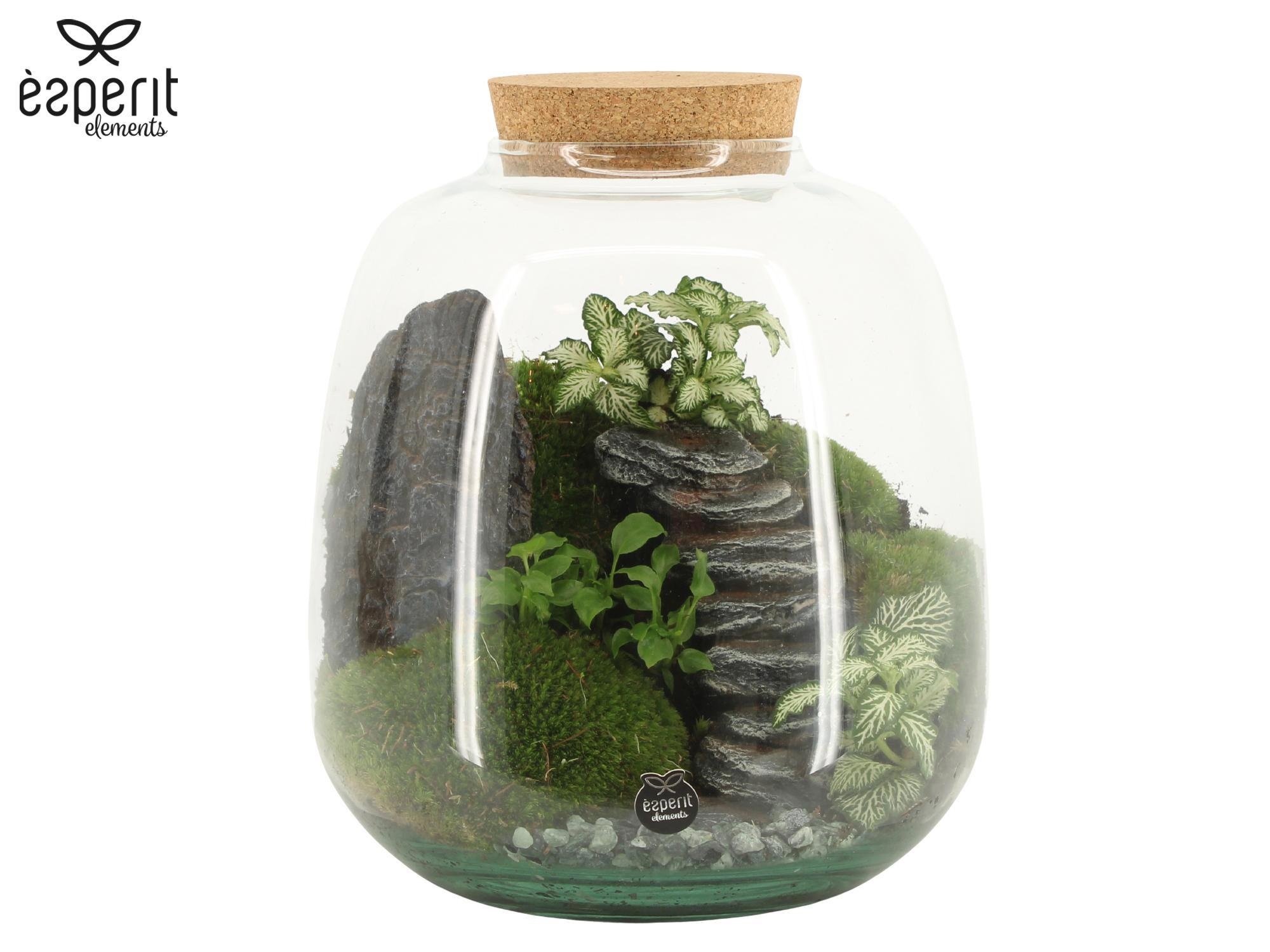 90773: Landscape terrarium arrangement, D 23 cm 90773: Landscape terrarium arrangement, D 23 cm