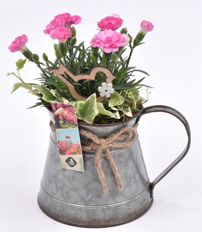 Zink kannetje met touw 12/18cm, D 14