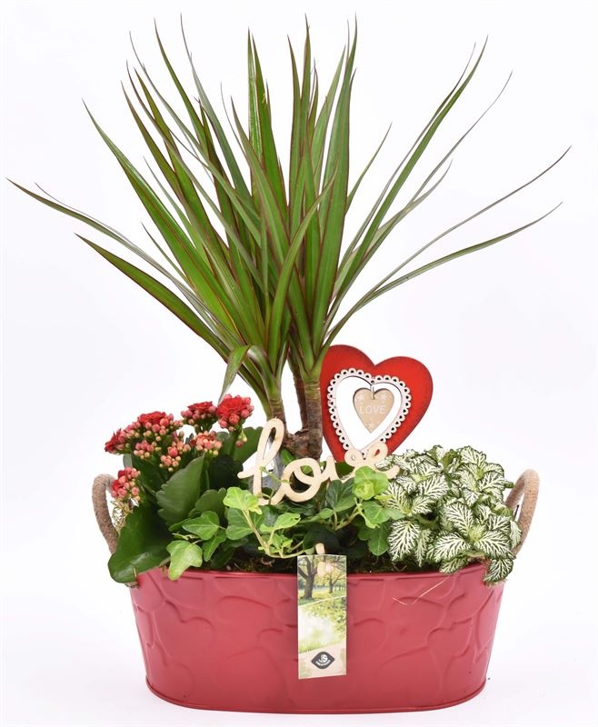 Zink ovaal rood hart decor 28x15cm, D 28