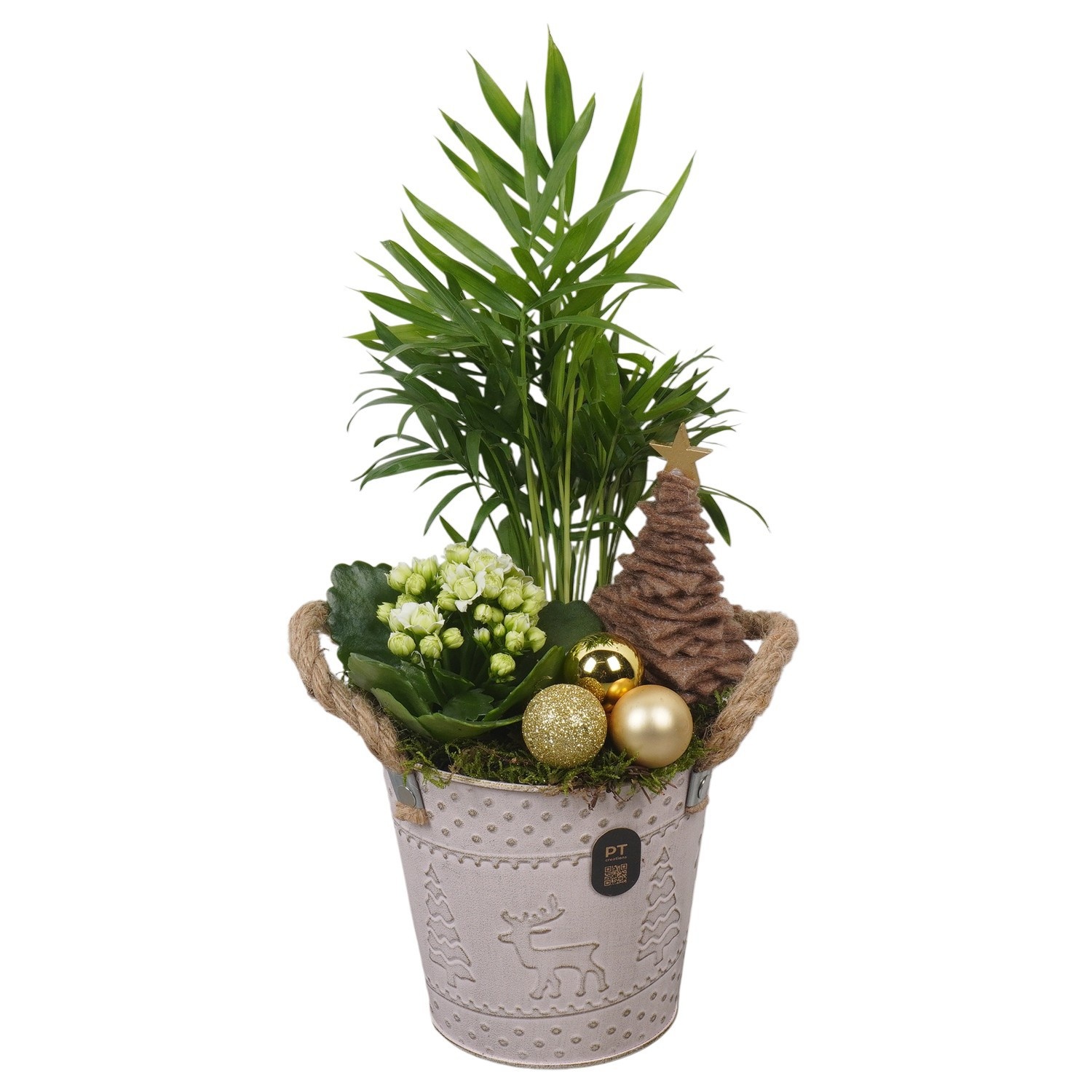 PTCHG4651 Arrangement Christmas Gold in metalen pot, D 14