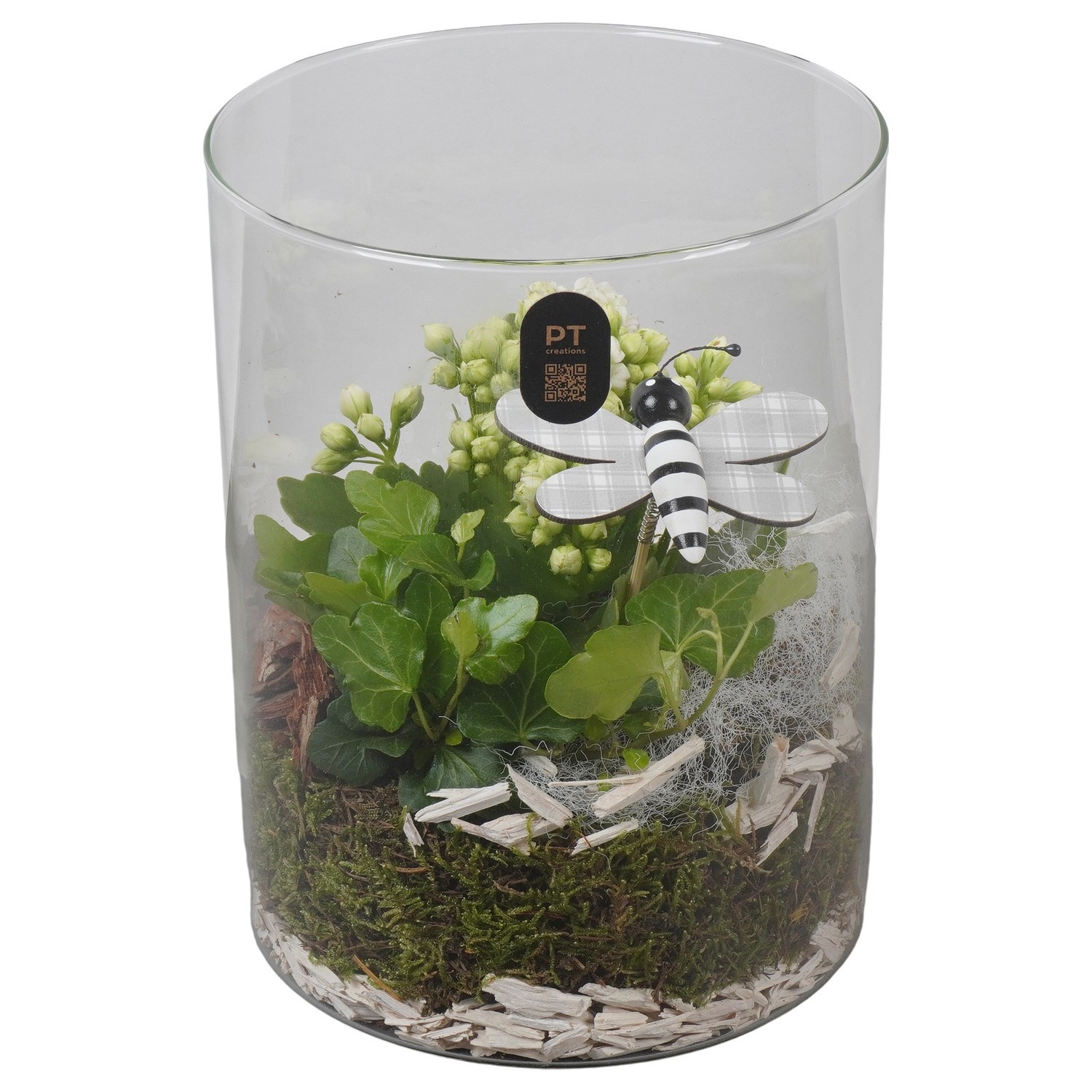 PTIG2611 Arrangement Indoor in glas cylinder, D 15