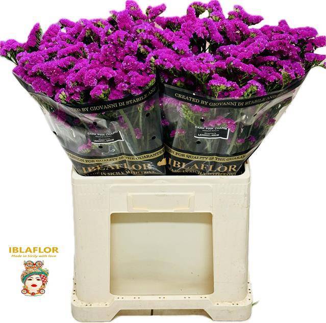 Статица Дарк Пинк Шарм 65, шт.