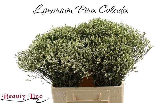 Лимониум Сенси Пина Колада 60, шт.