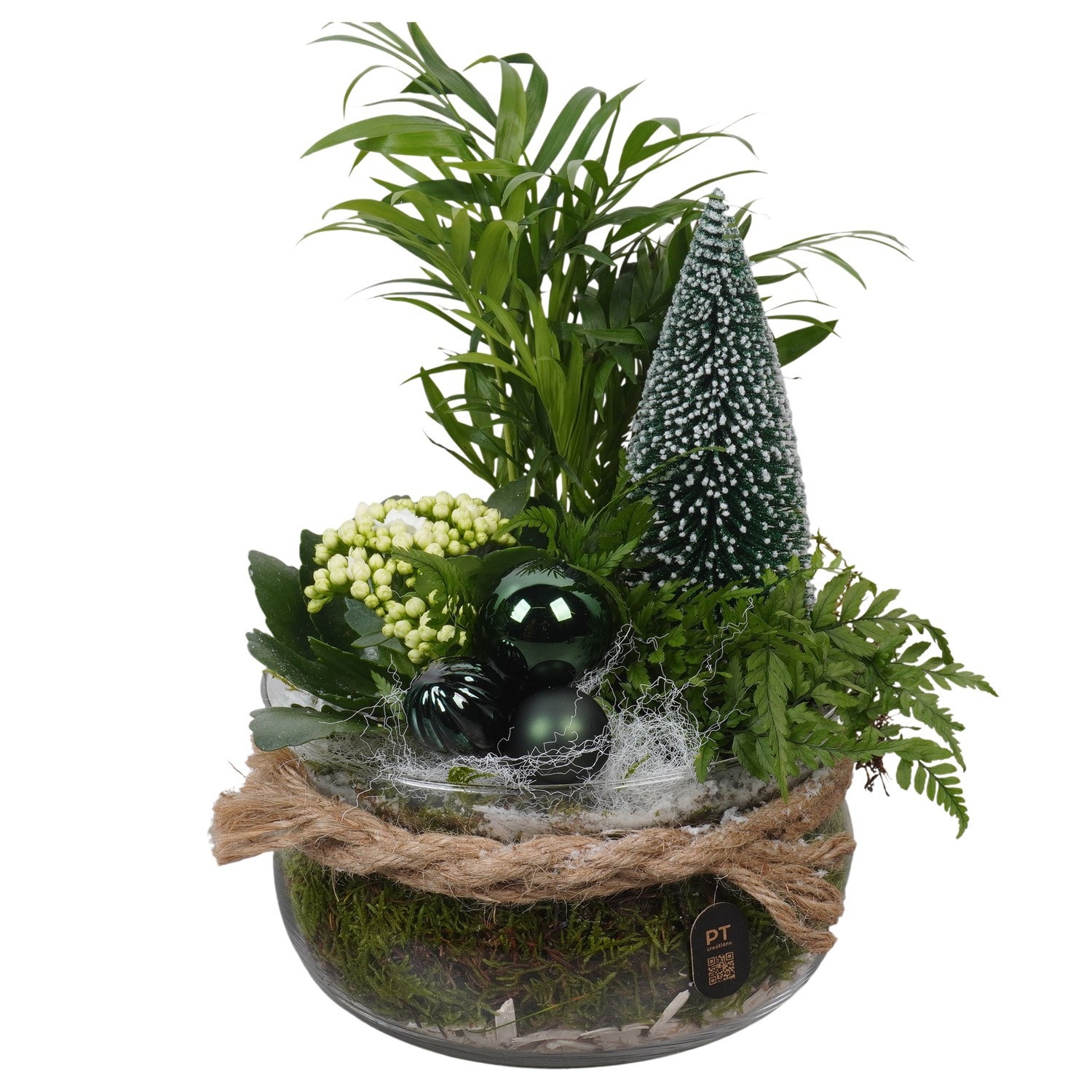 PTCHGR1911 Arrangement Christmas Green in glas schaal, D 19