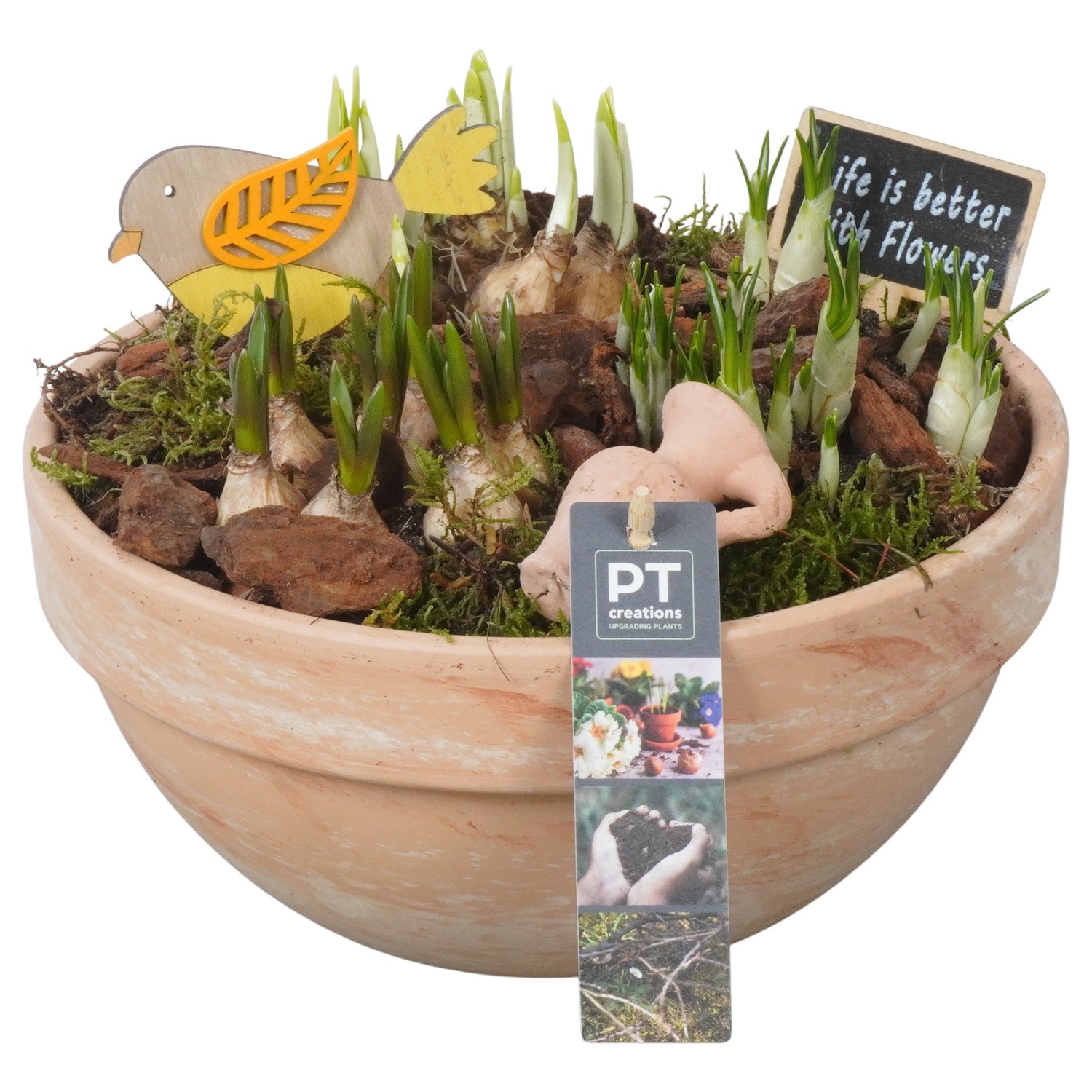 PTBM3882 Arrangement Flower Bulbs Mix in terracotta schaal, D 23