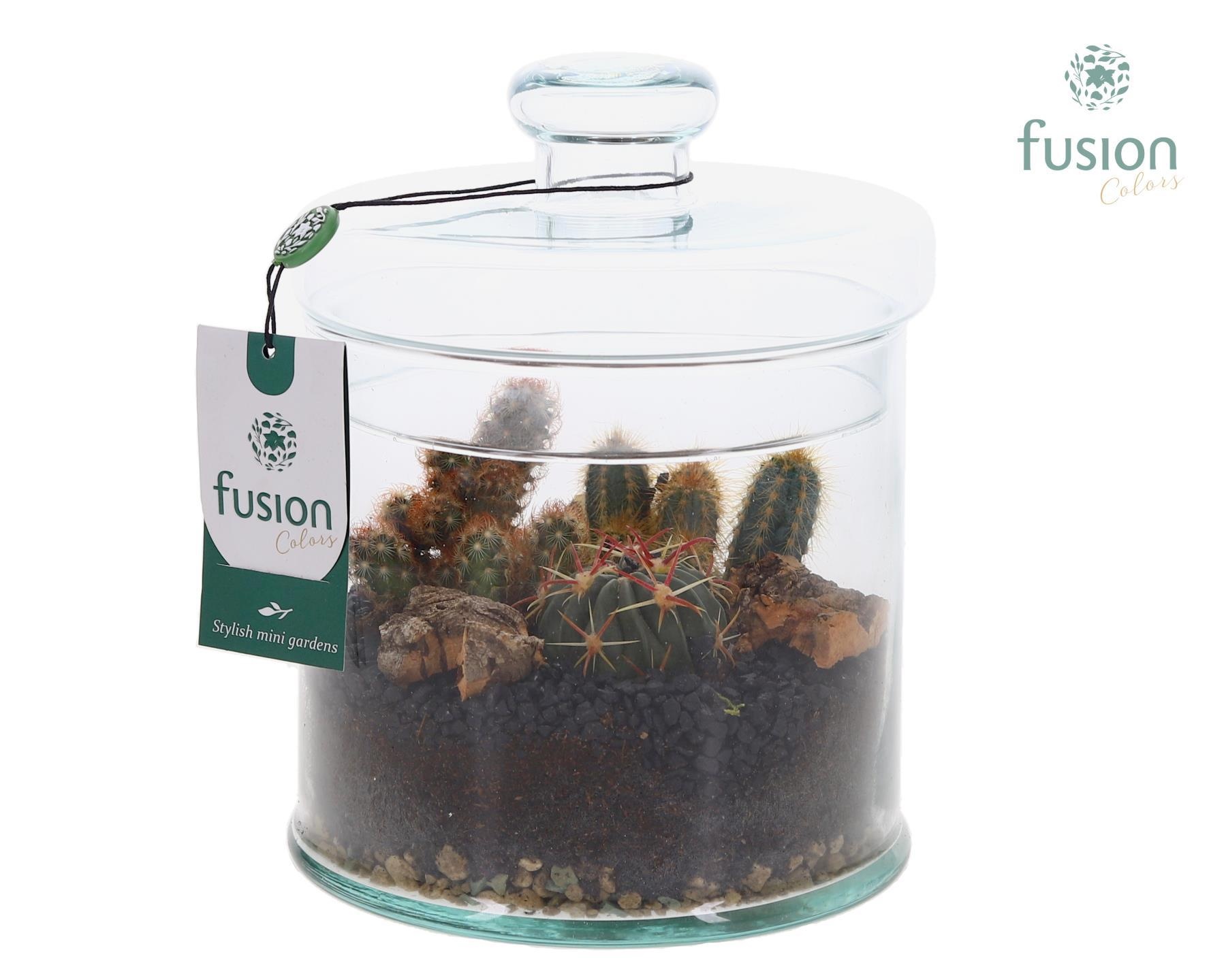 Glas Pot met Deksel en Arrangement, D 18