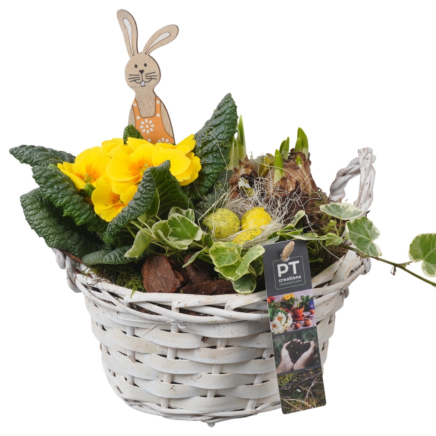 PTBMP5700 Arrangement Easter Bulbs Mix in rieten mand, D 20