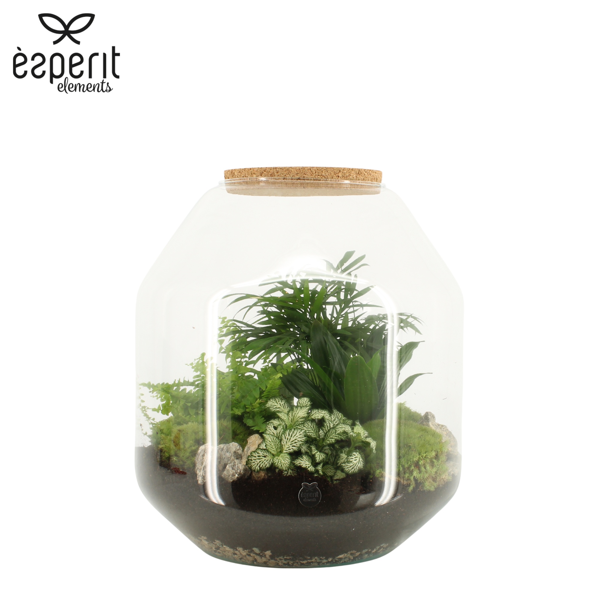 90847: Terrarium arrangement, D 33
