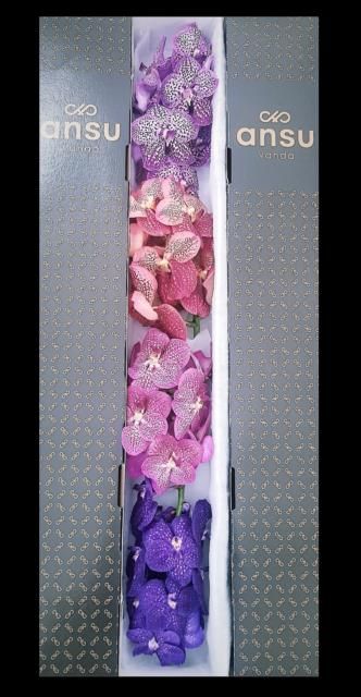 Ванда Таяни Микс x5, шт.