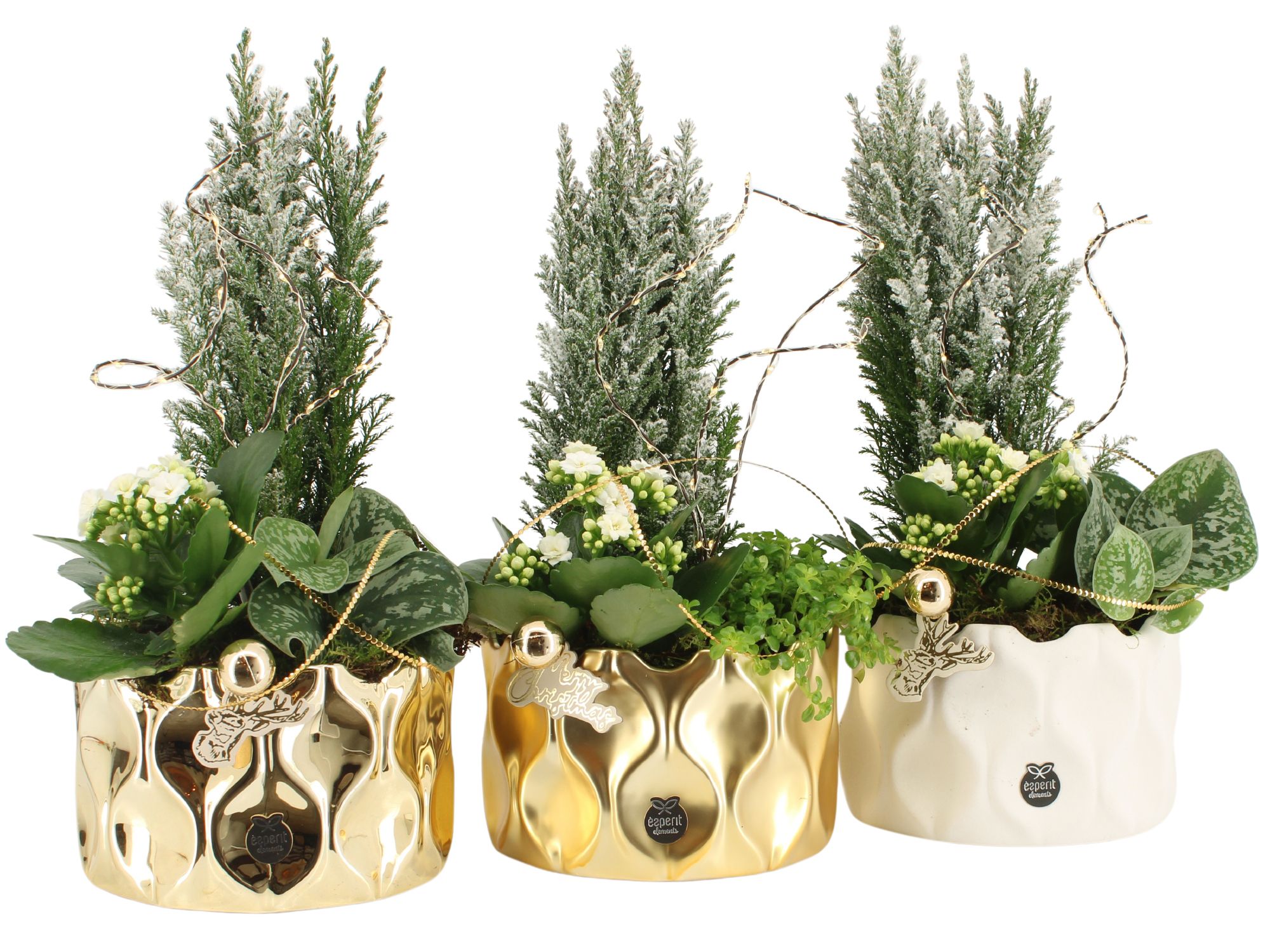 61630: X-mas arrangement met LED, D 16