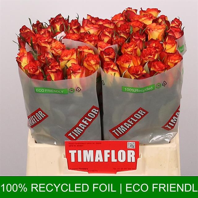 Роза од. Хай Энд Мэджик 40, шт.