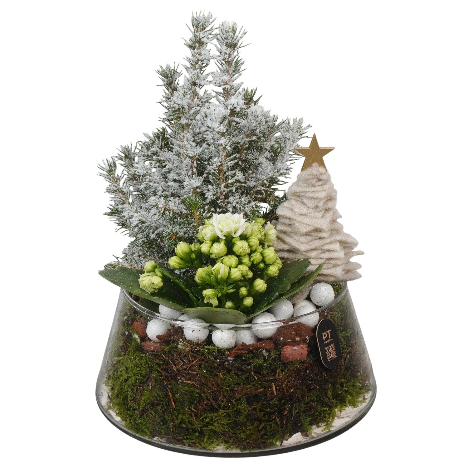 PTCHW7923 Arrangement Christmas White in glas schaal, D 18