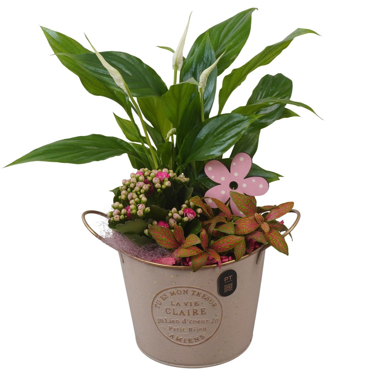 PTIB5308 Arrangement Indoor in metalen pot, D 15