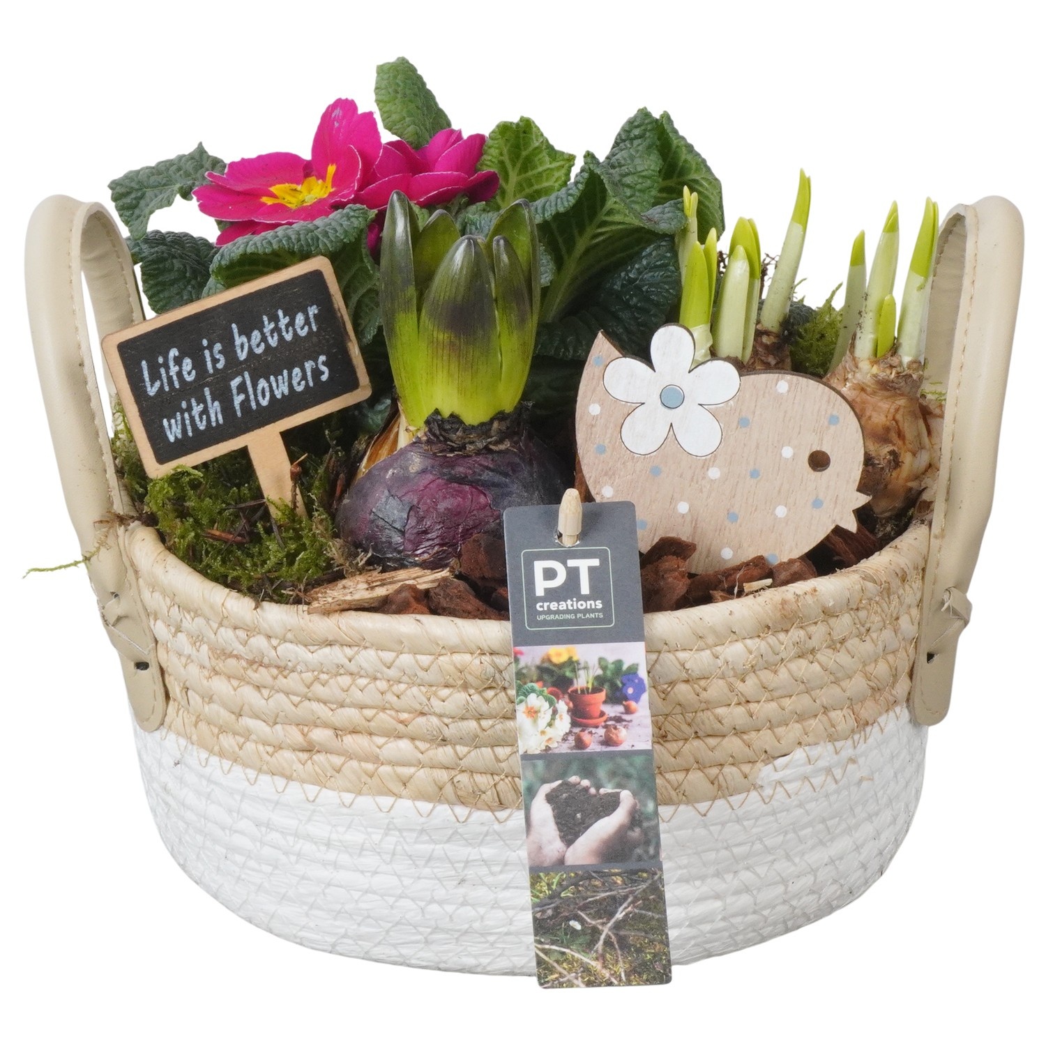 PTBM3822 Arrangement Flower Bulbs Mix in rieten mand, D 21