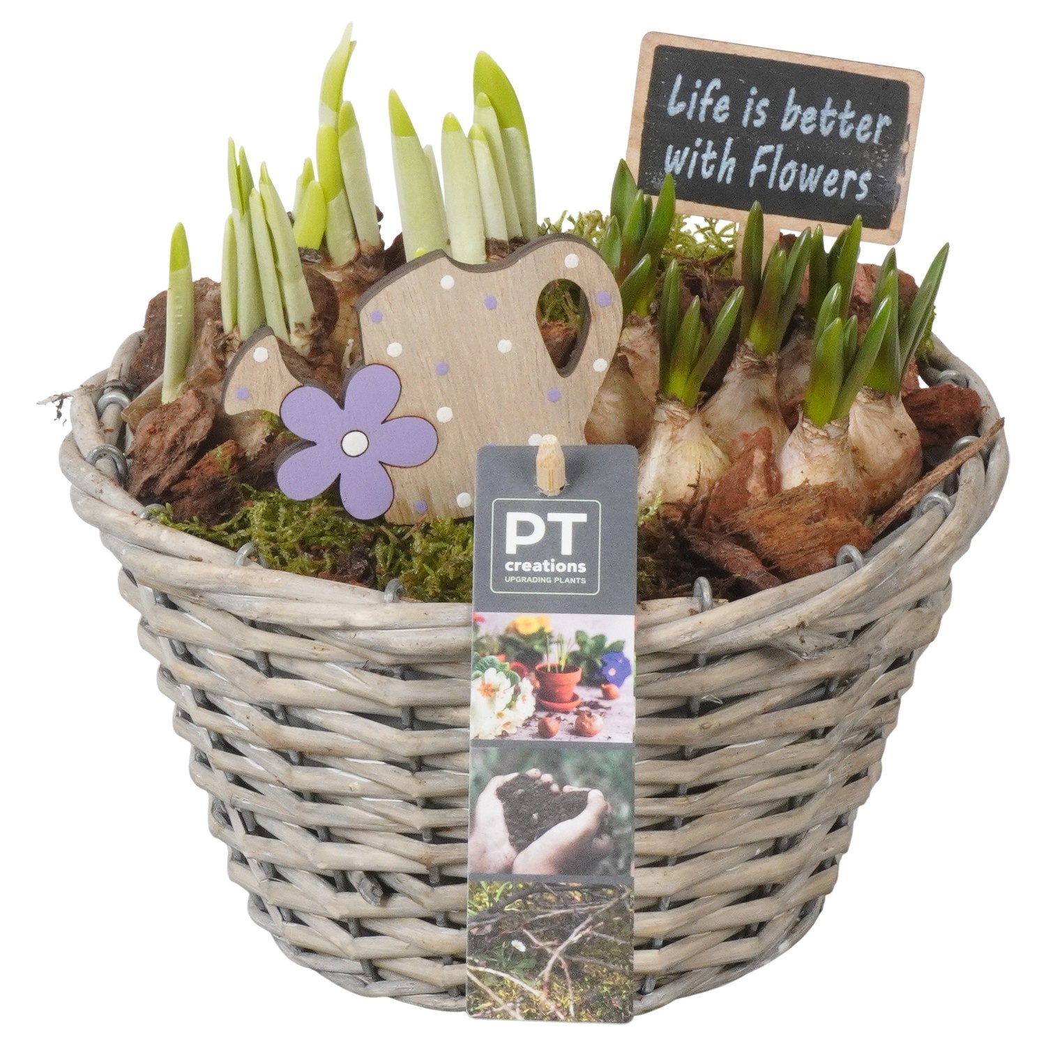 PTBM3845 Arrangement Flower Bulbs Mix in rieten mand, D 18