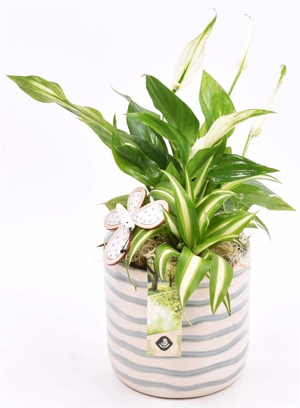 Keramiek pot golf 13cm, D 13